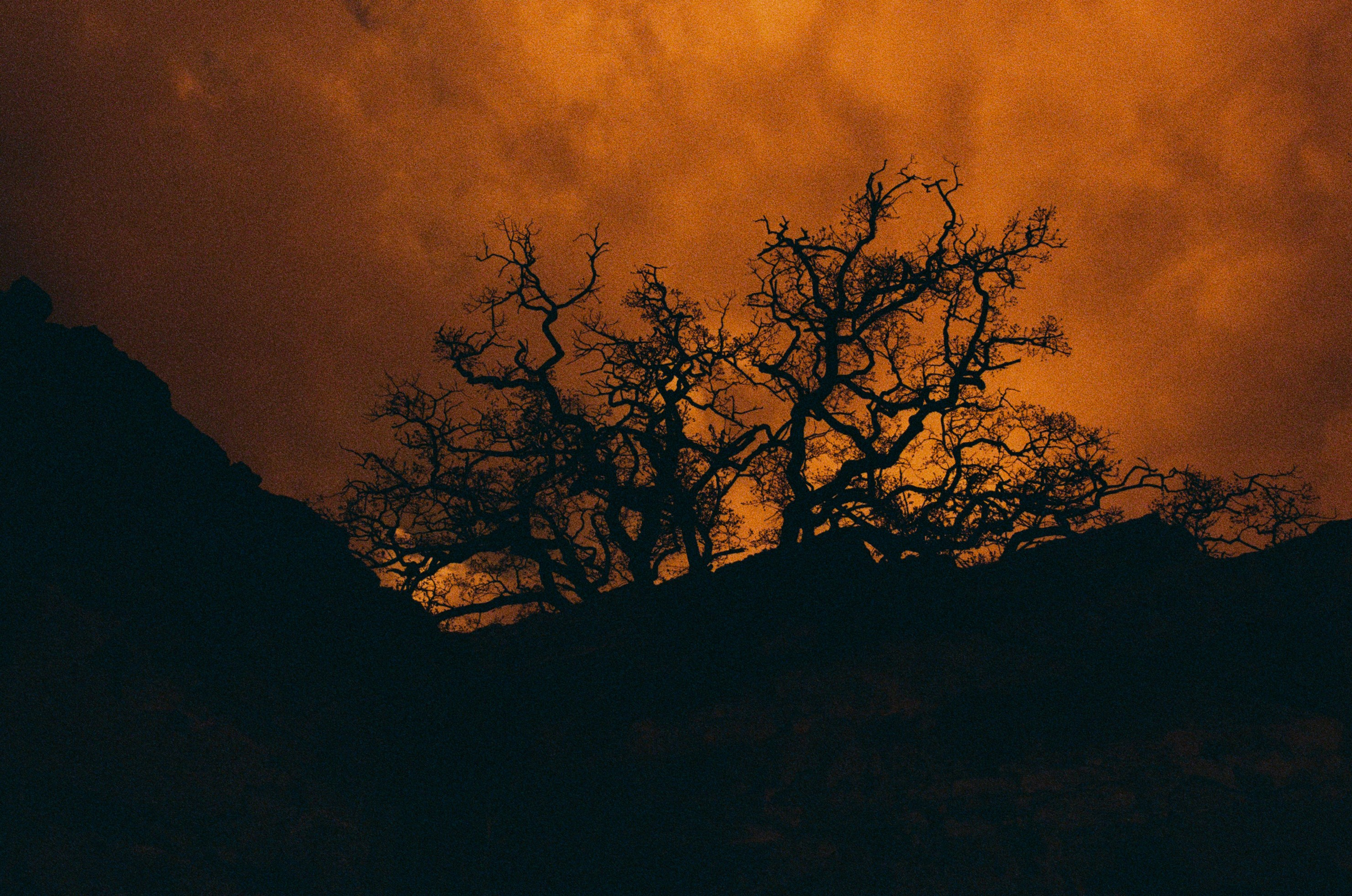 Sakura blues // ukraine, crimea VIII. EVER EXPOSED