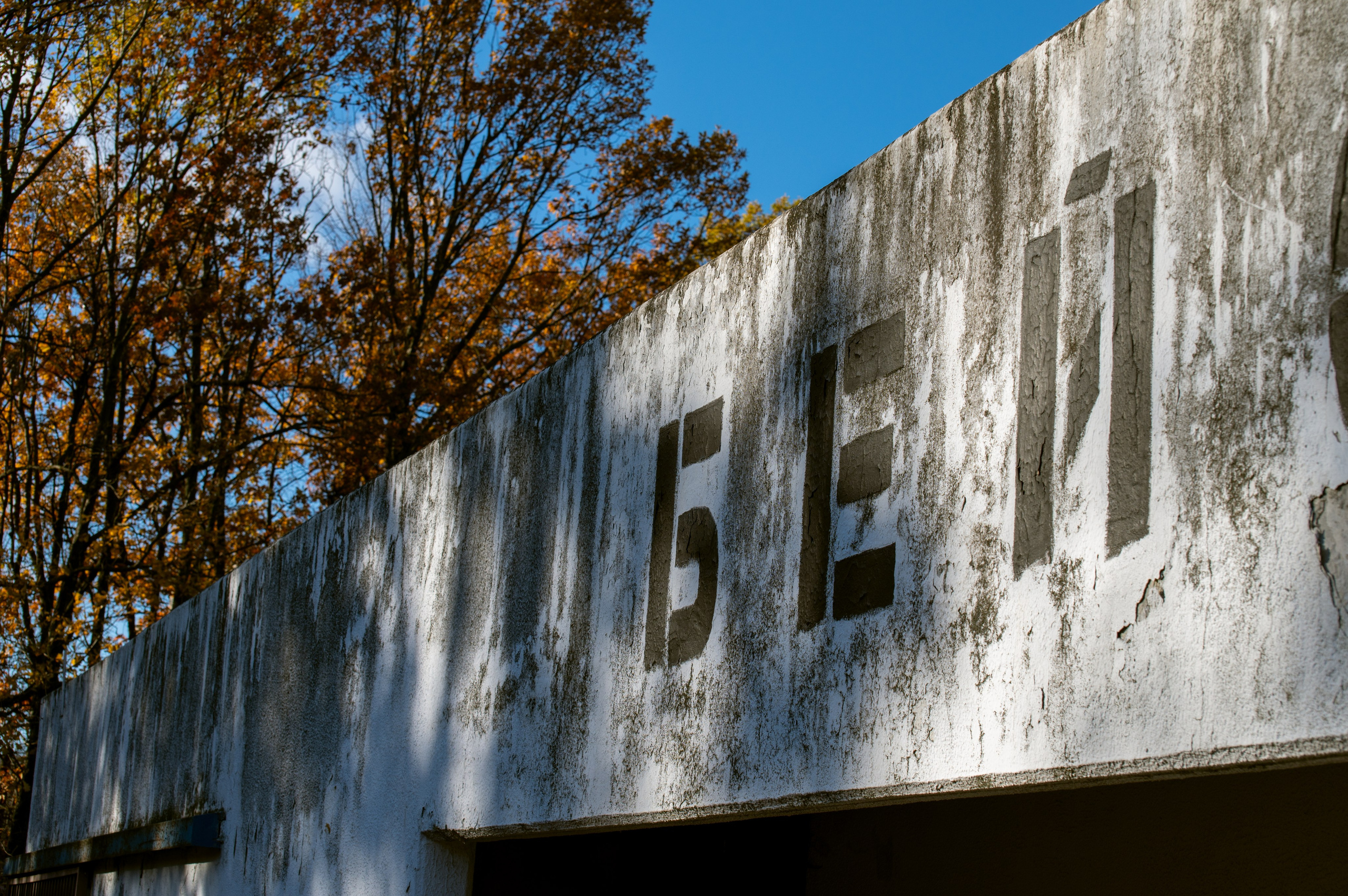 20241102 МГУ. Дмитрий Ремизов. Фотография, как хобби