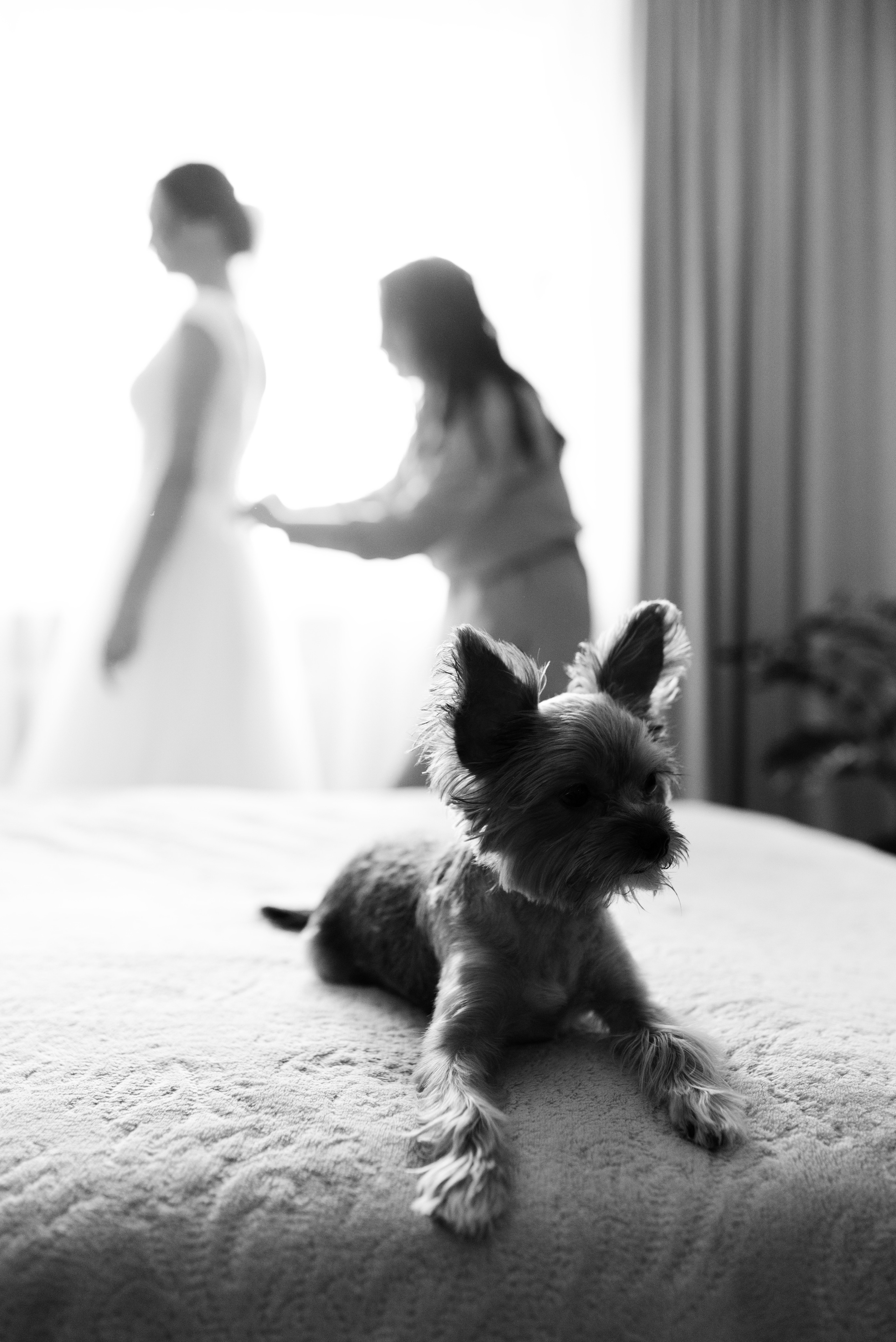 Свадебная фотосессия. Фотограф в Уфе Комягина Анастасия