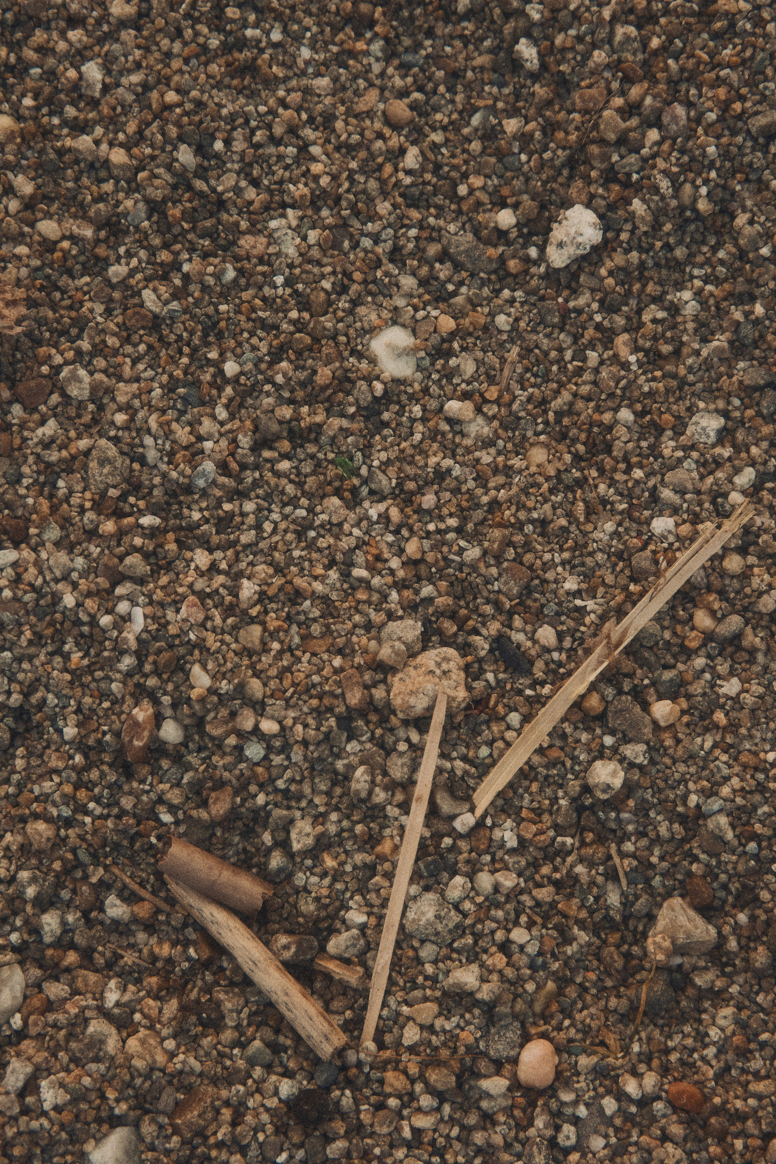 V.Nebo. Дмитрий Мазуркевич: Профессиональный Репортажный Фотограф