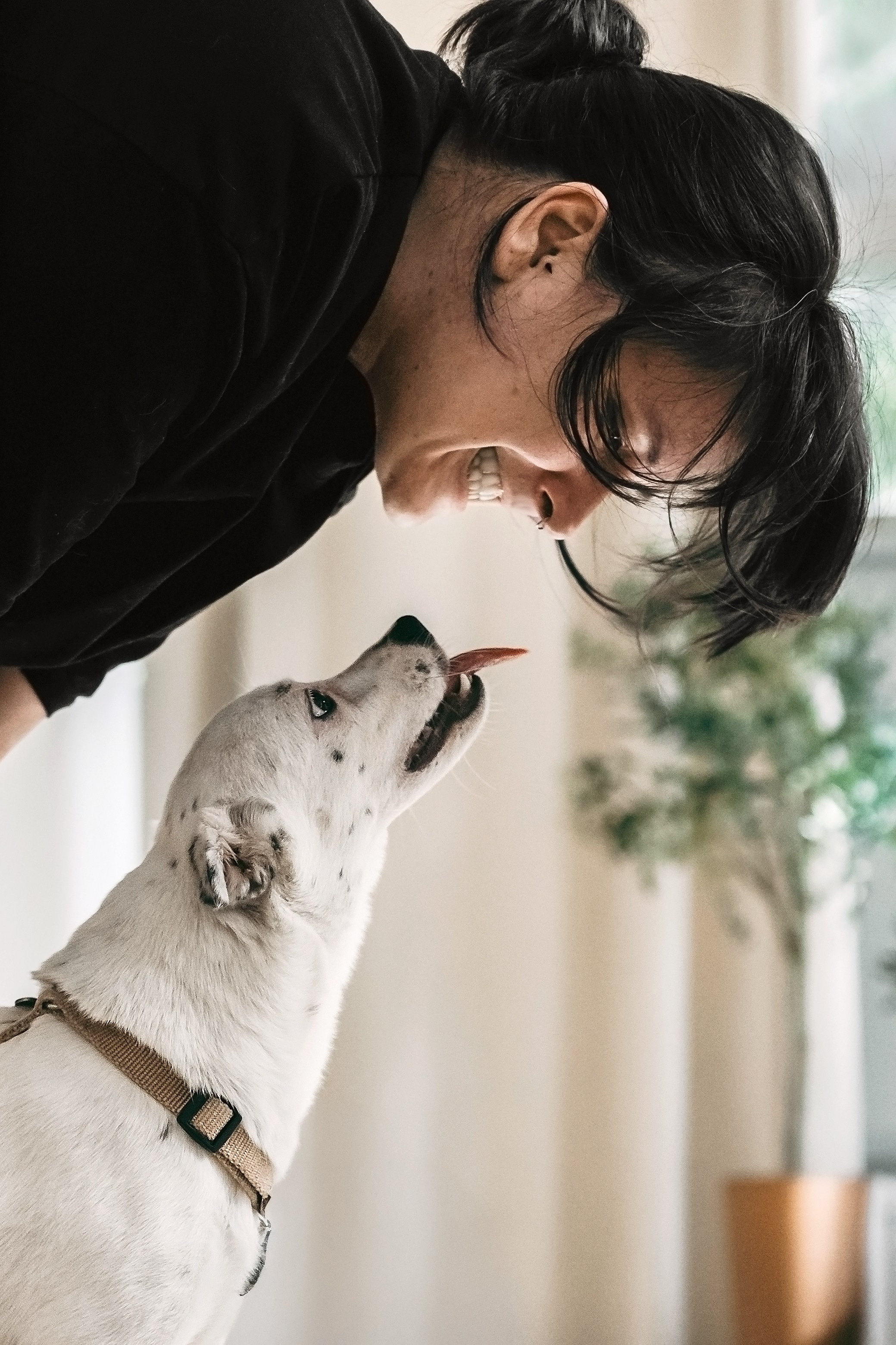 Студия лето 2025. Фотограф-анималист Татьяна Степанова