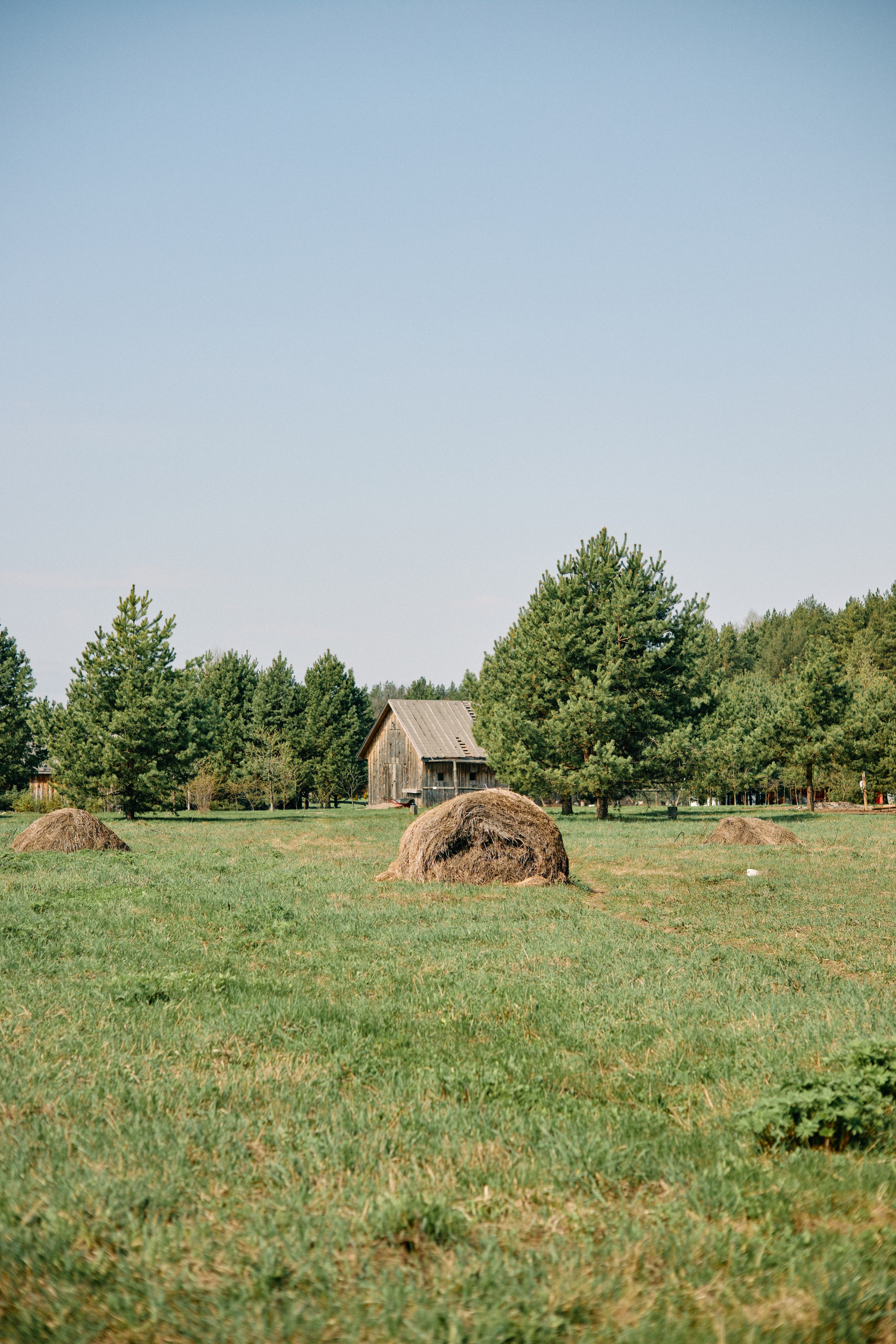 Бутик-отель Поле летом. Профессиональный Фотограф во Владимире, в Москве и в Суздале — Полина Романычева