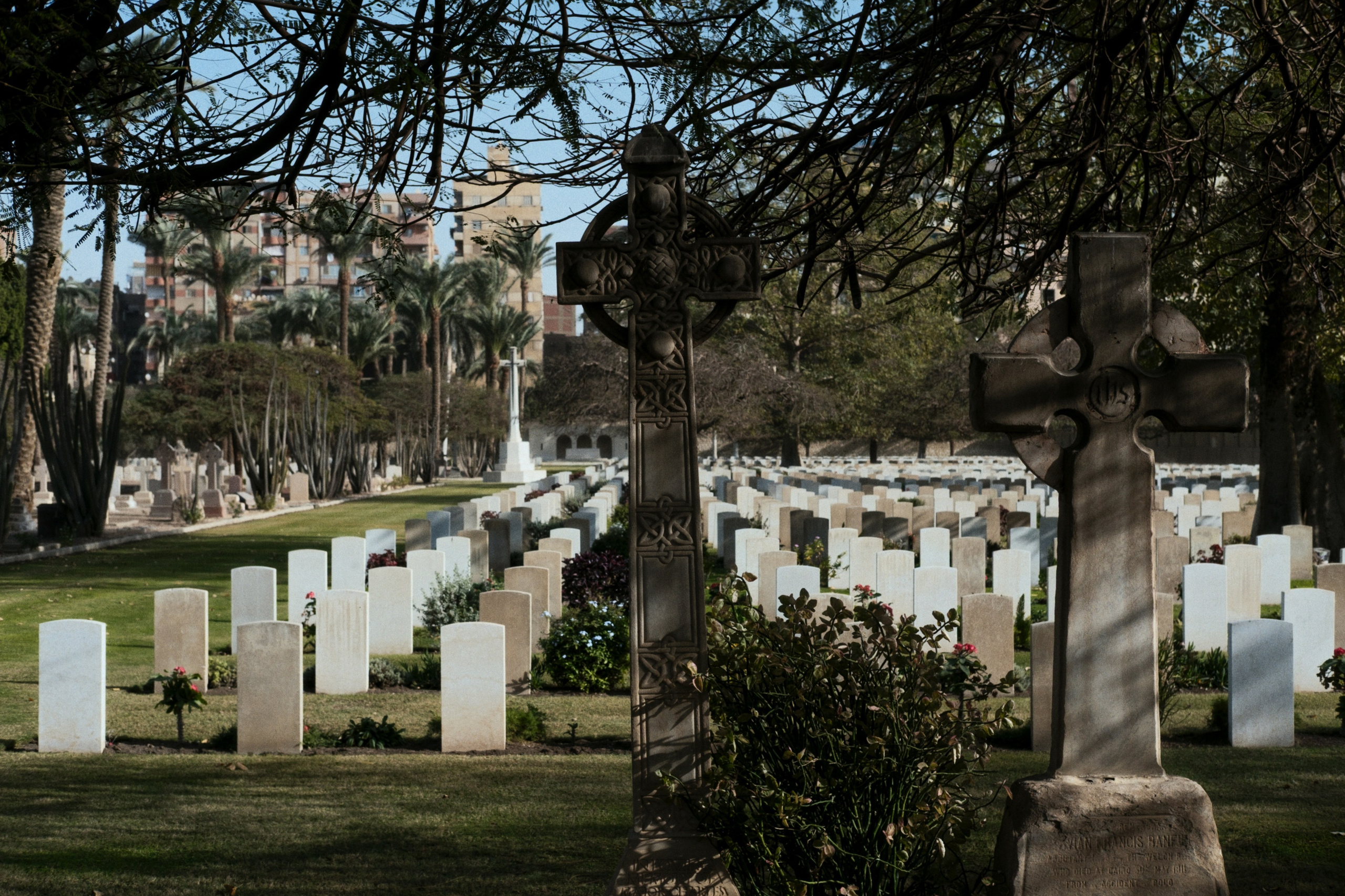 War Memorial Cemetery / Cairo, Egypt AW25. Фотограф Юрин Евгений