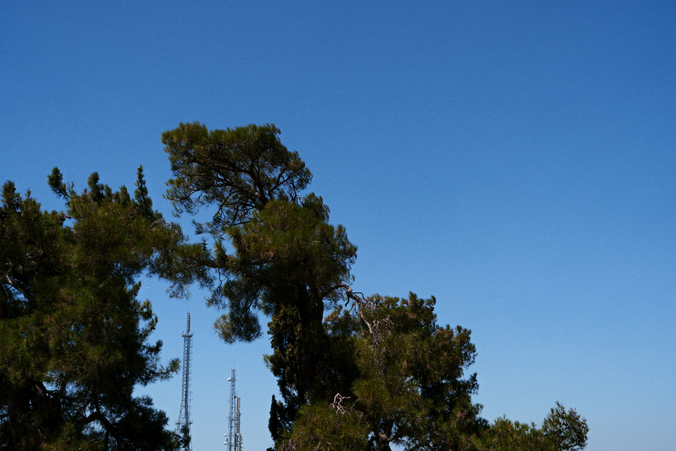 Büyükada х Heybeliada, Istanbul / Türkey SS25. Фотограф Юрин Евгений