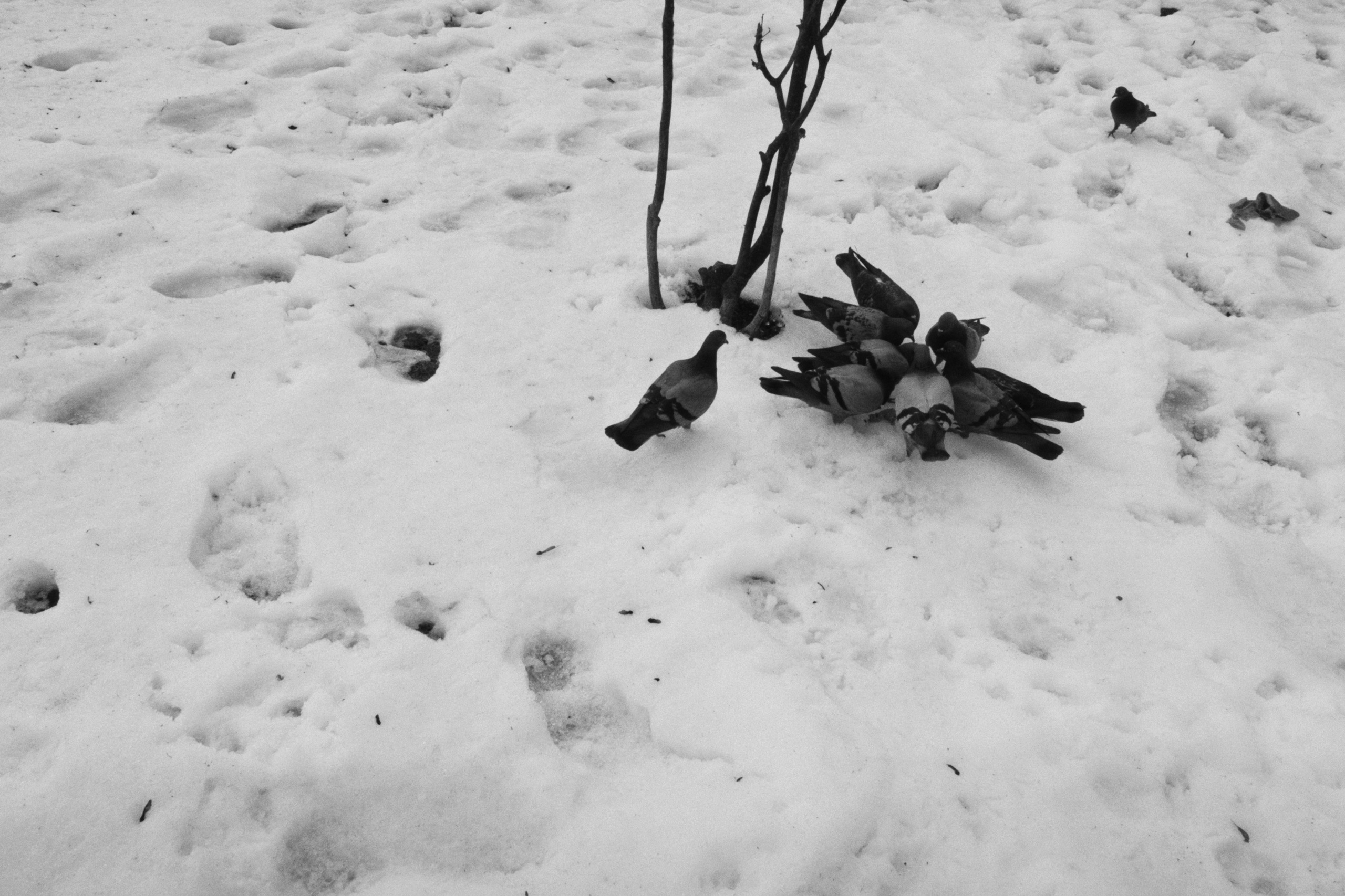 Sarajevo / Bosnia and Herzegovina AW26. Фотограф Юрин Евгений