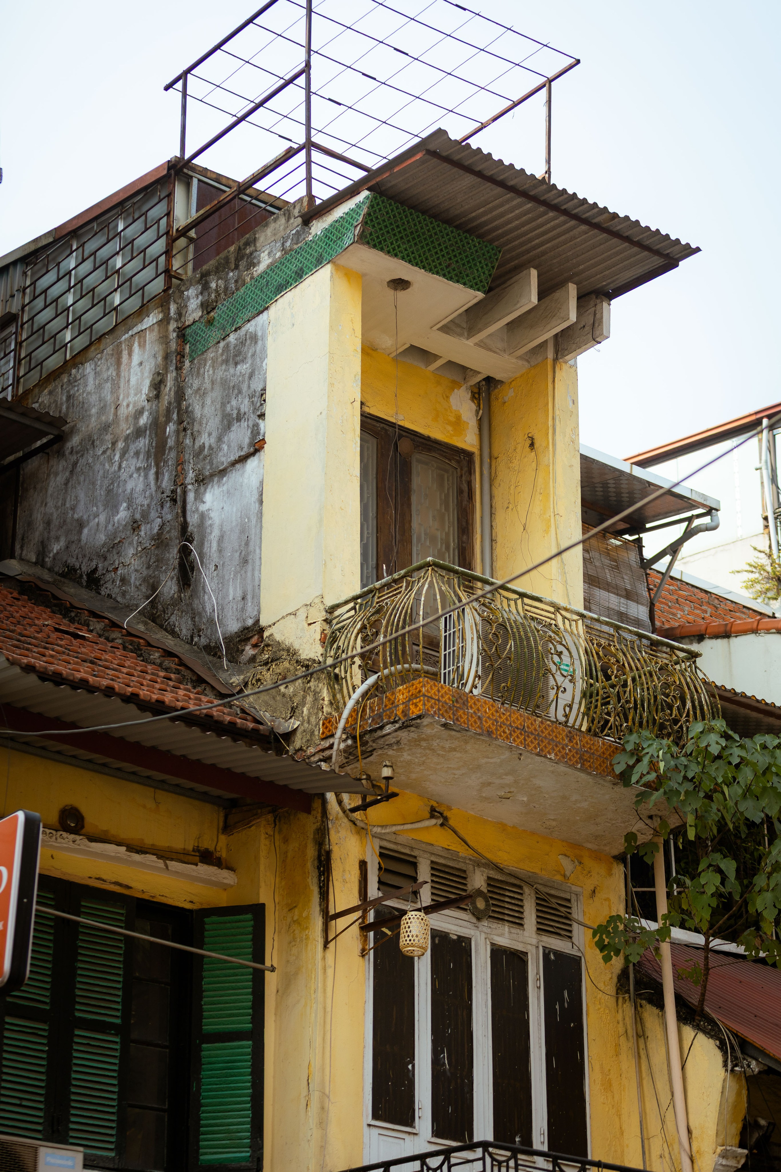 Вьетнам (зима 2025-2026). Фотограф Виноградов Константин