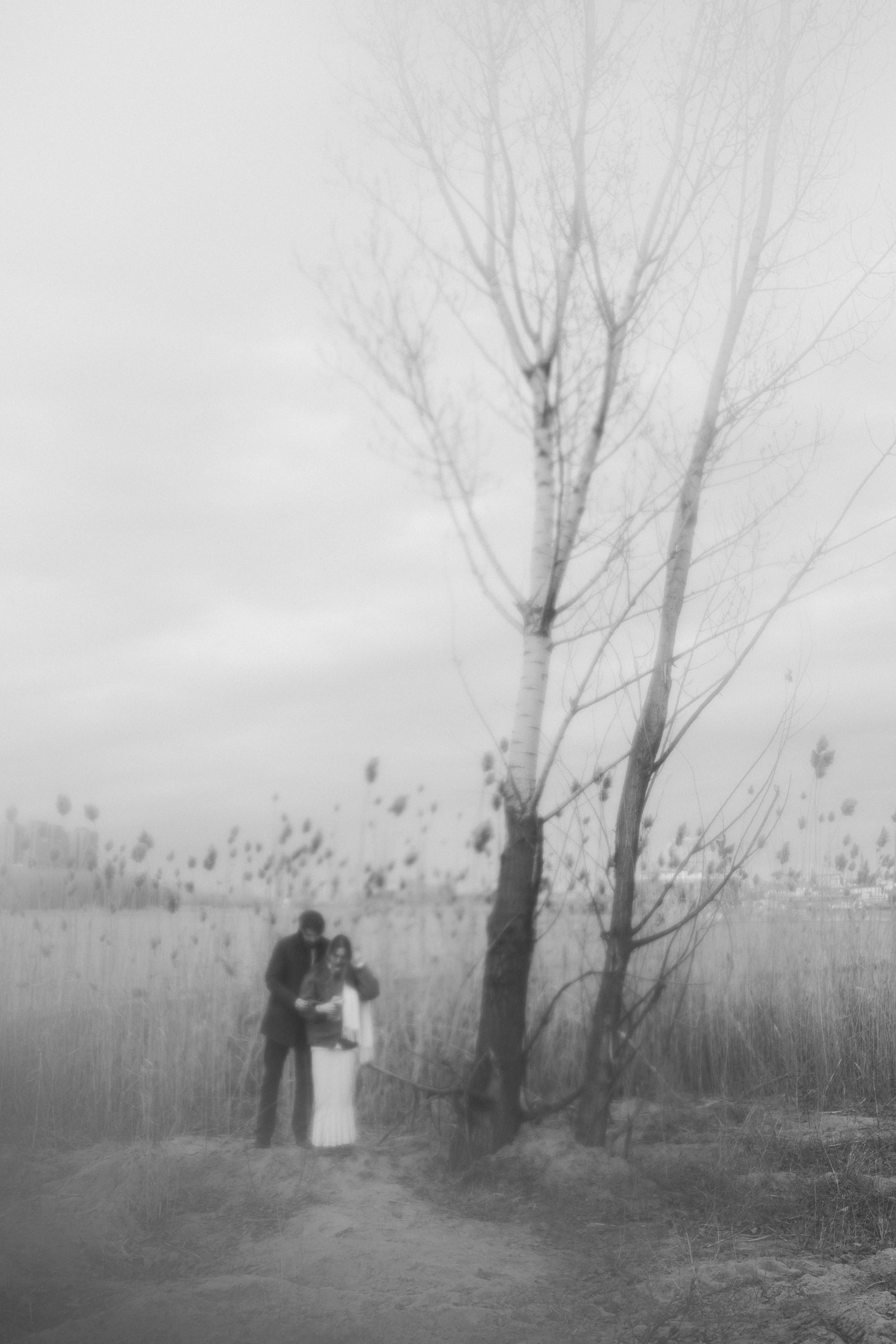 Лев и Александра. Свадебный фотограф Казань