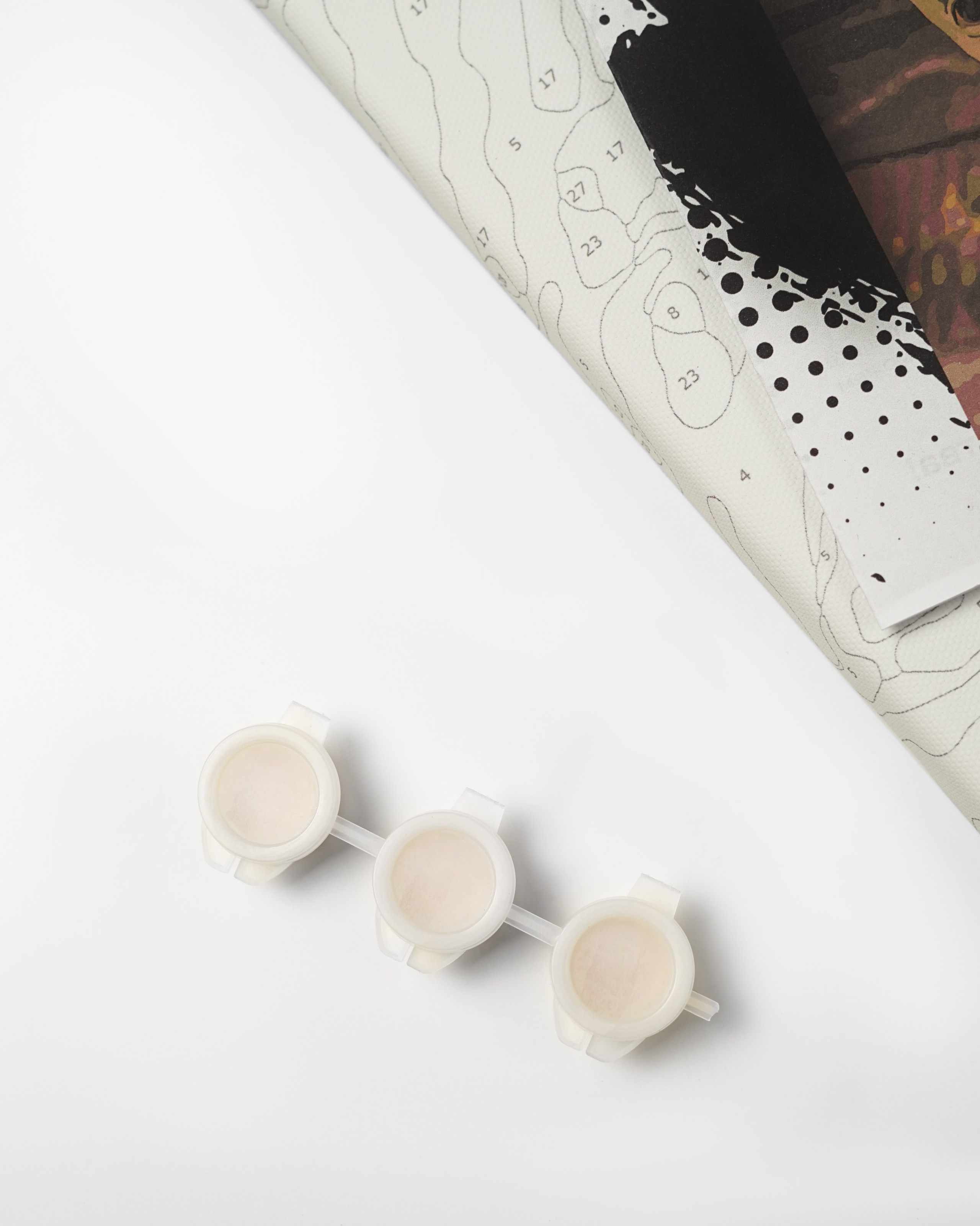 Картина по номерам. Концептуальный фотограф Шлыкова Ольга