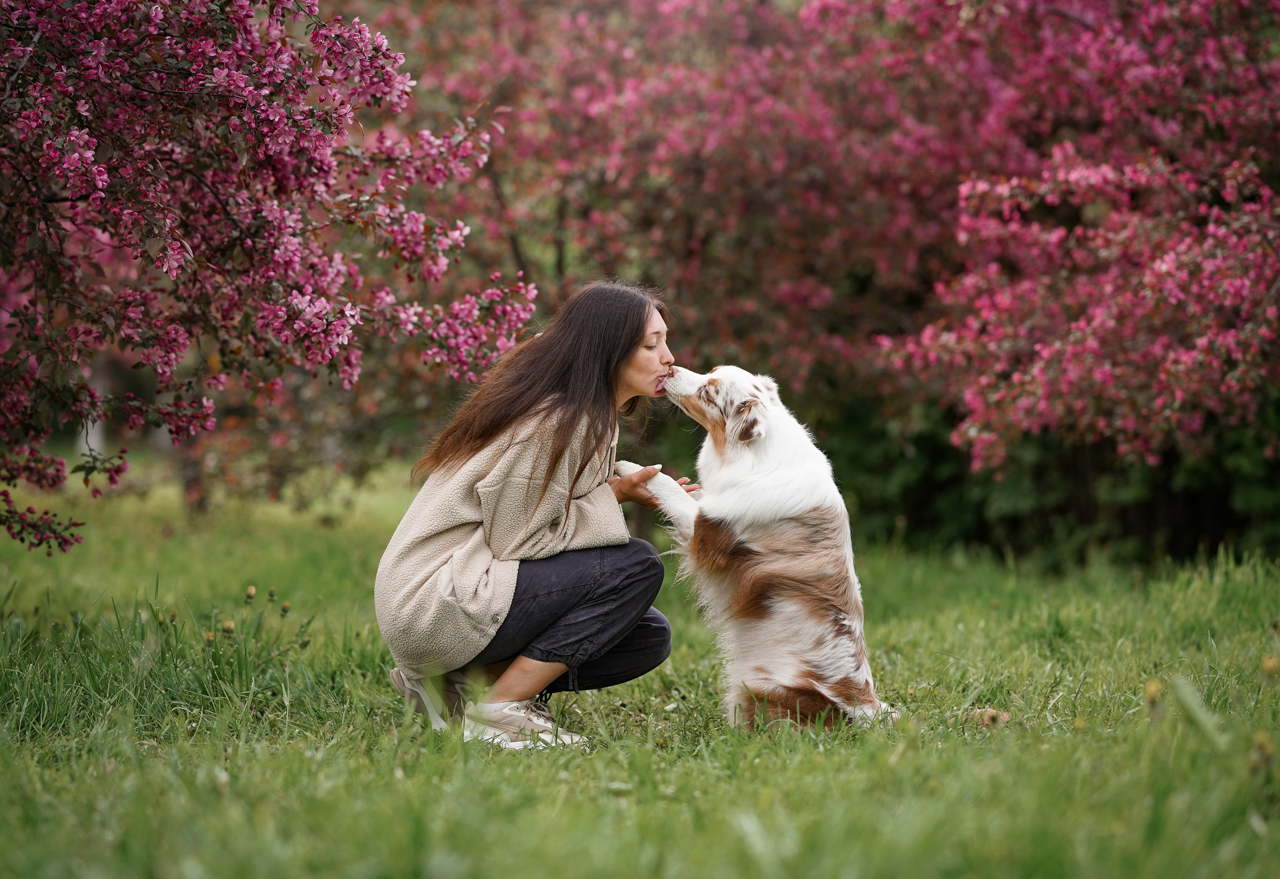 Панда в Яблоневом саду. Фотограф-анималист в Санкт-Петербурге Яна Мартынова