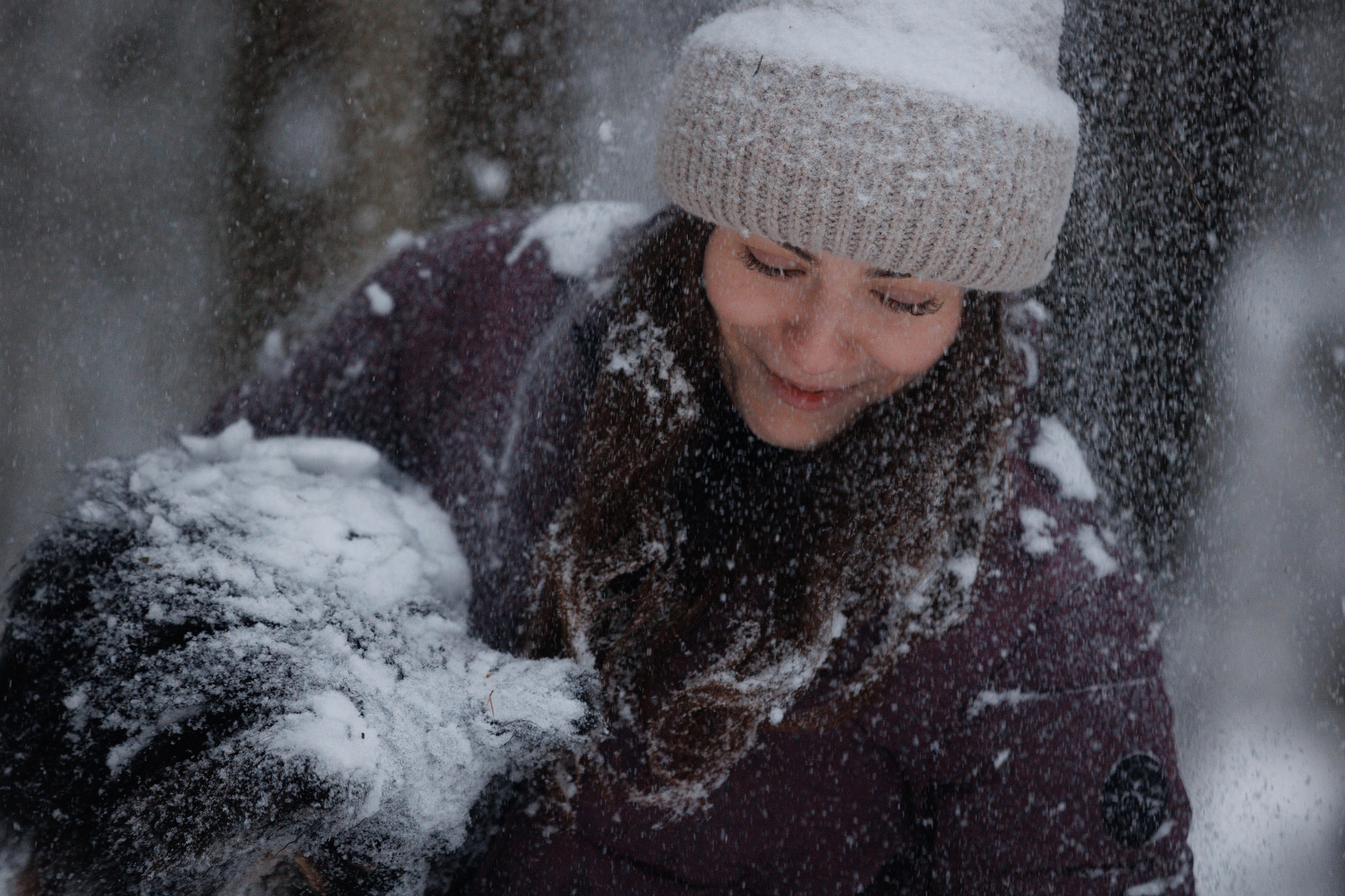 Даша и компания. Фотограф анималист Кристина Карпова, Москва