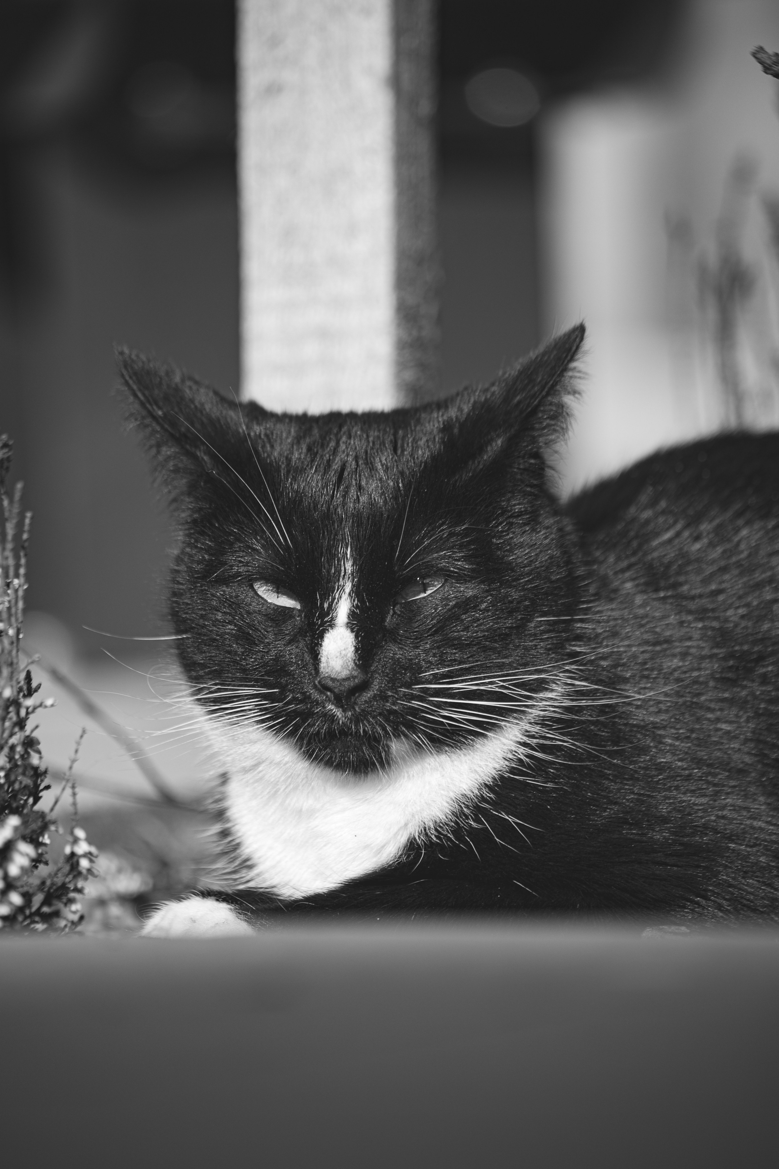 Ч \ Б. — Digital Noise —