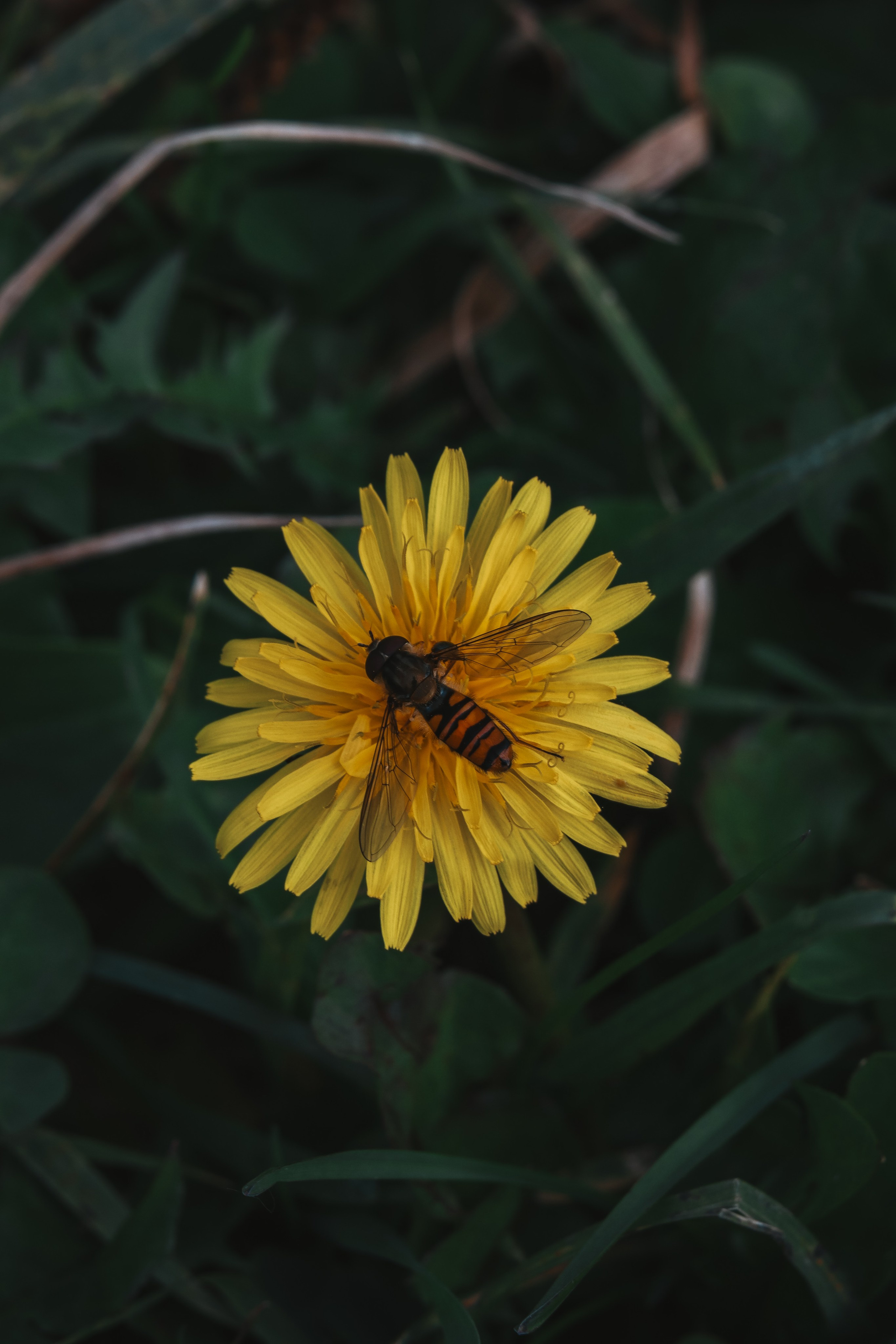 М А К Р О. — Digital Noise —