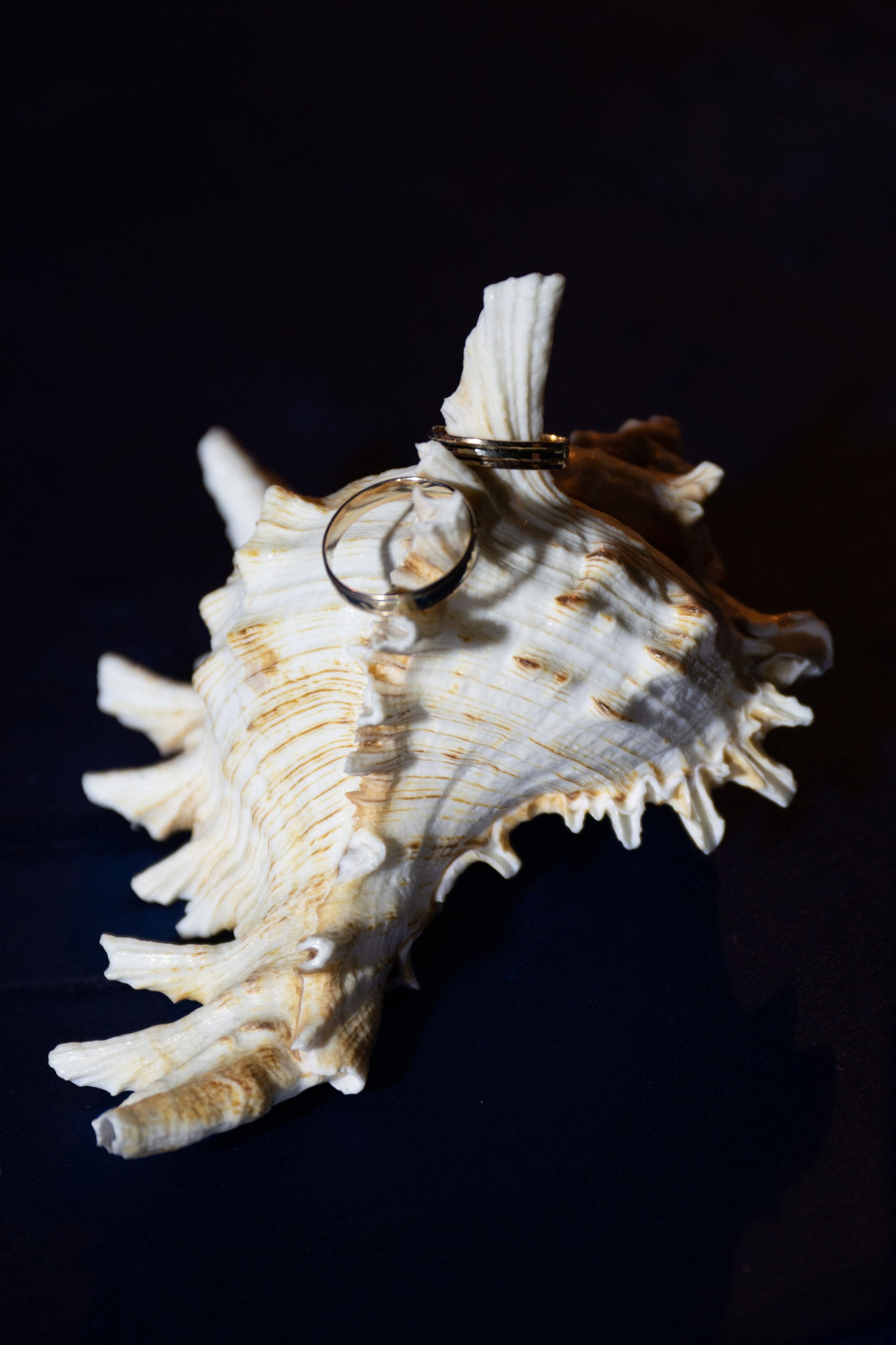 Настя & Женя. Свадебный и семейный фотограф Тюмень Екатеринбург Москвина Алёна