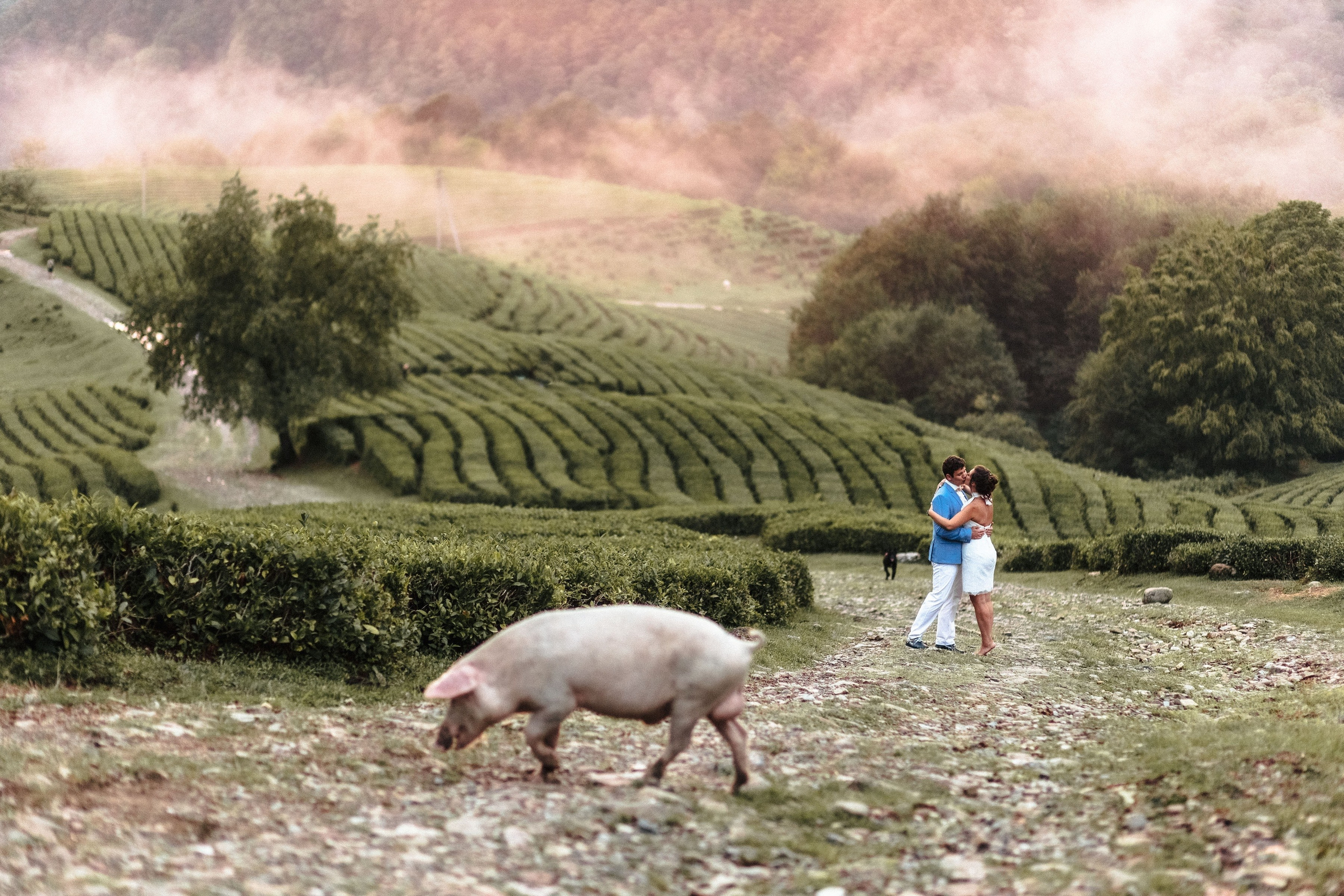 Свадебный, семейный фотограф