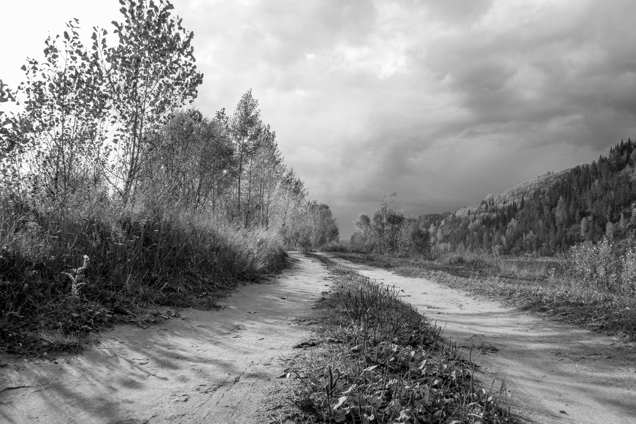 Творческая студия АЛНИфото