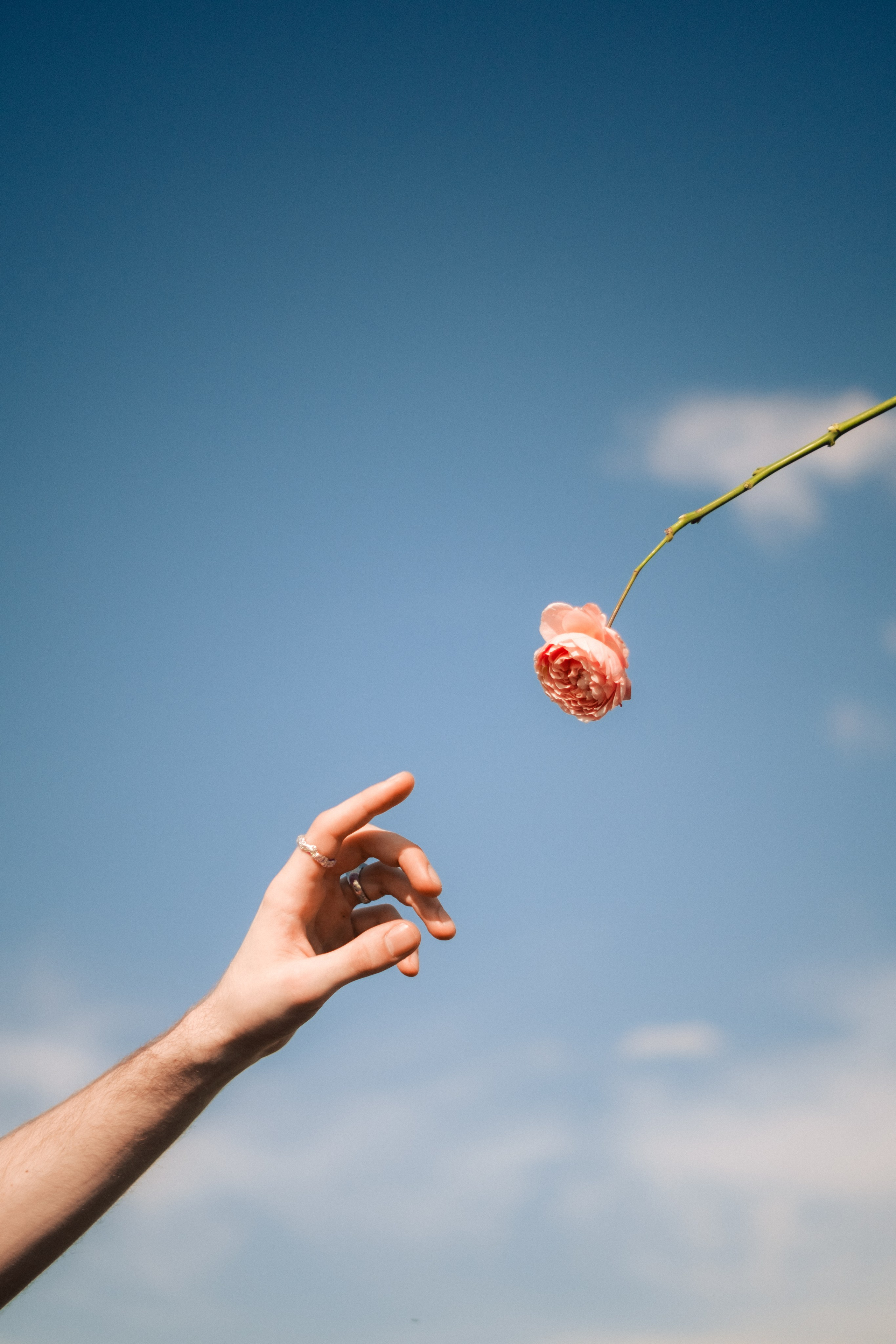 Костя. Съёмка с цветами в поле. Lickord