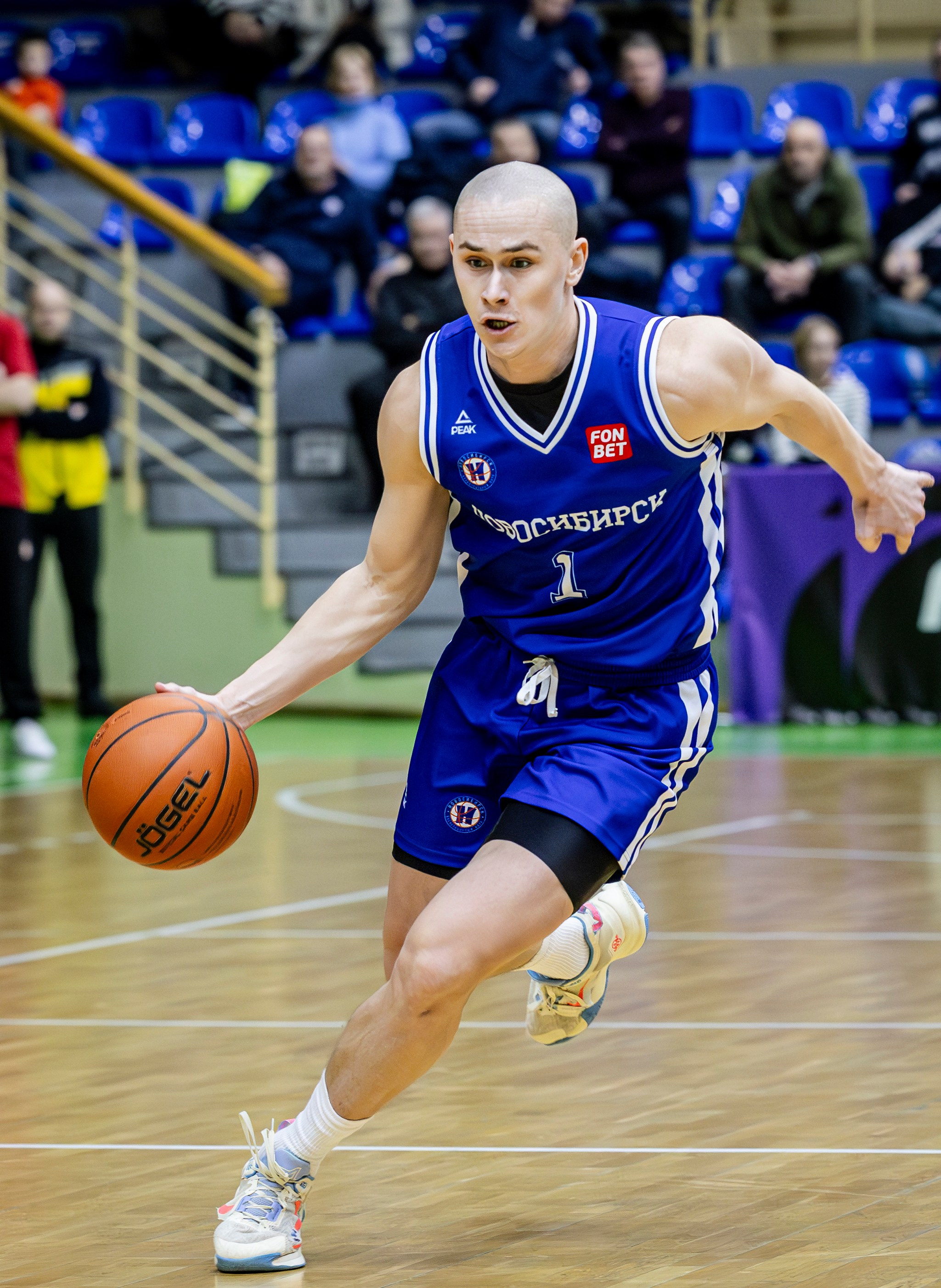 БК Новосибирск. Bertran Ordo