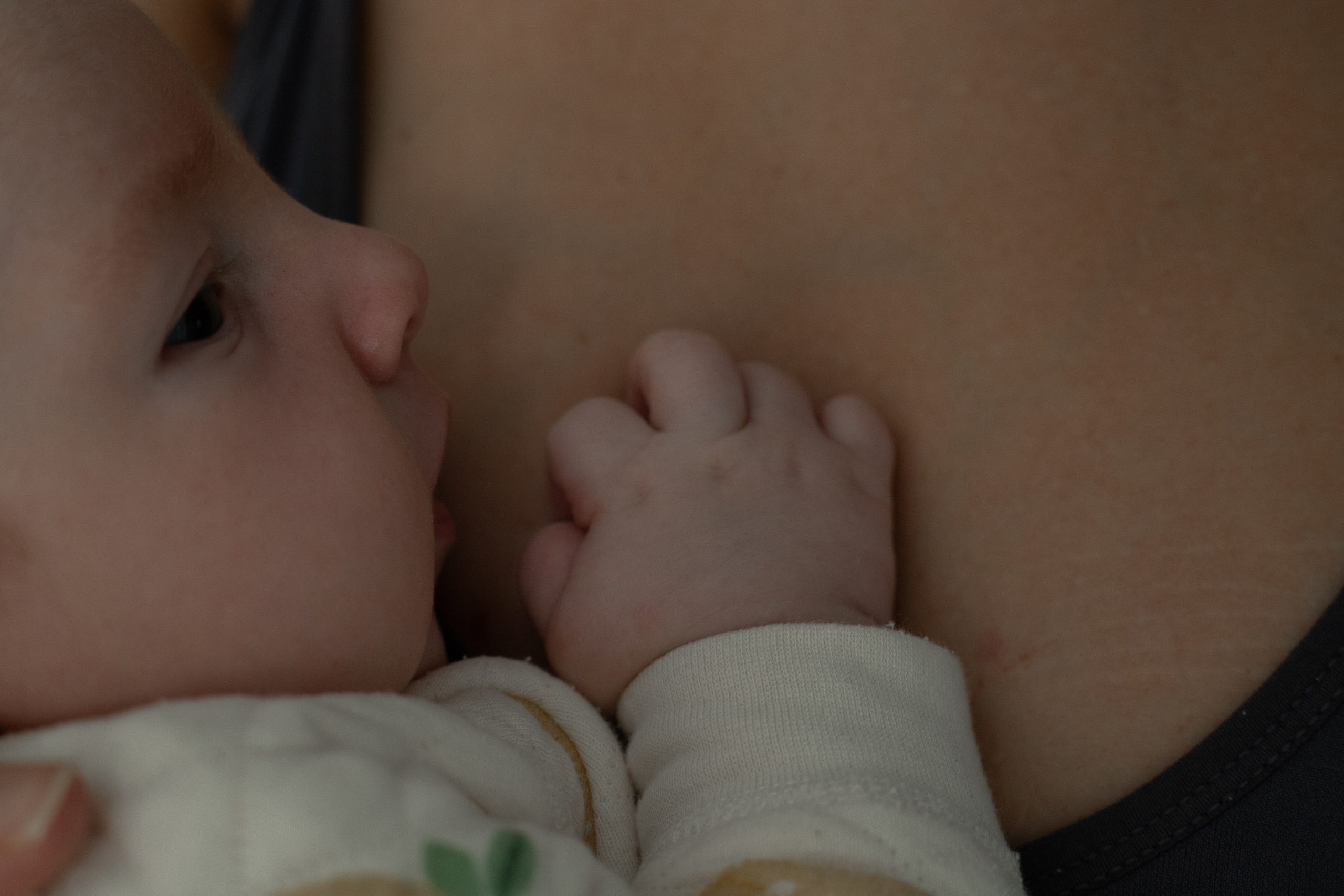 Гюнай и Илай. Свадебный и семейный фотограф в Сургуте и ХМАО Черепанова Наталья