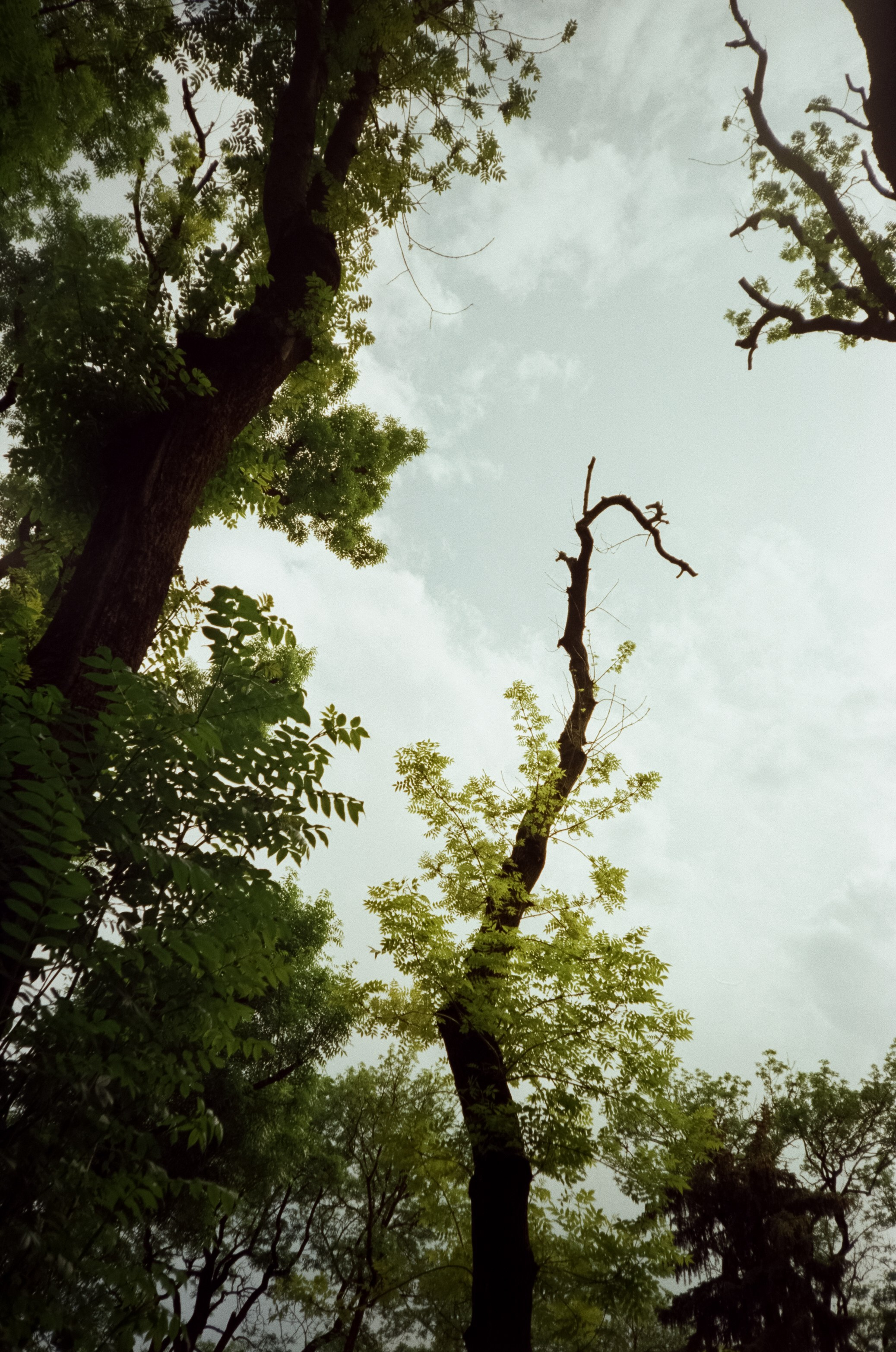 Курортный парк Ессентуков. Прогулка. Фотограф-документалист Мария Осокина
