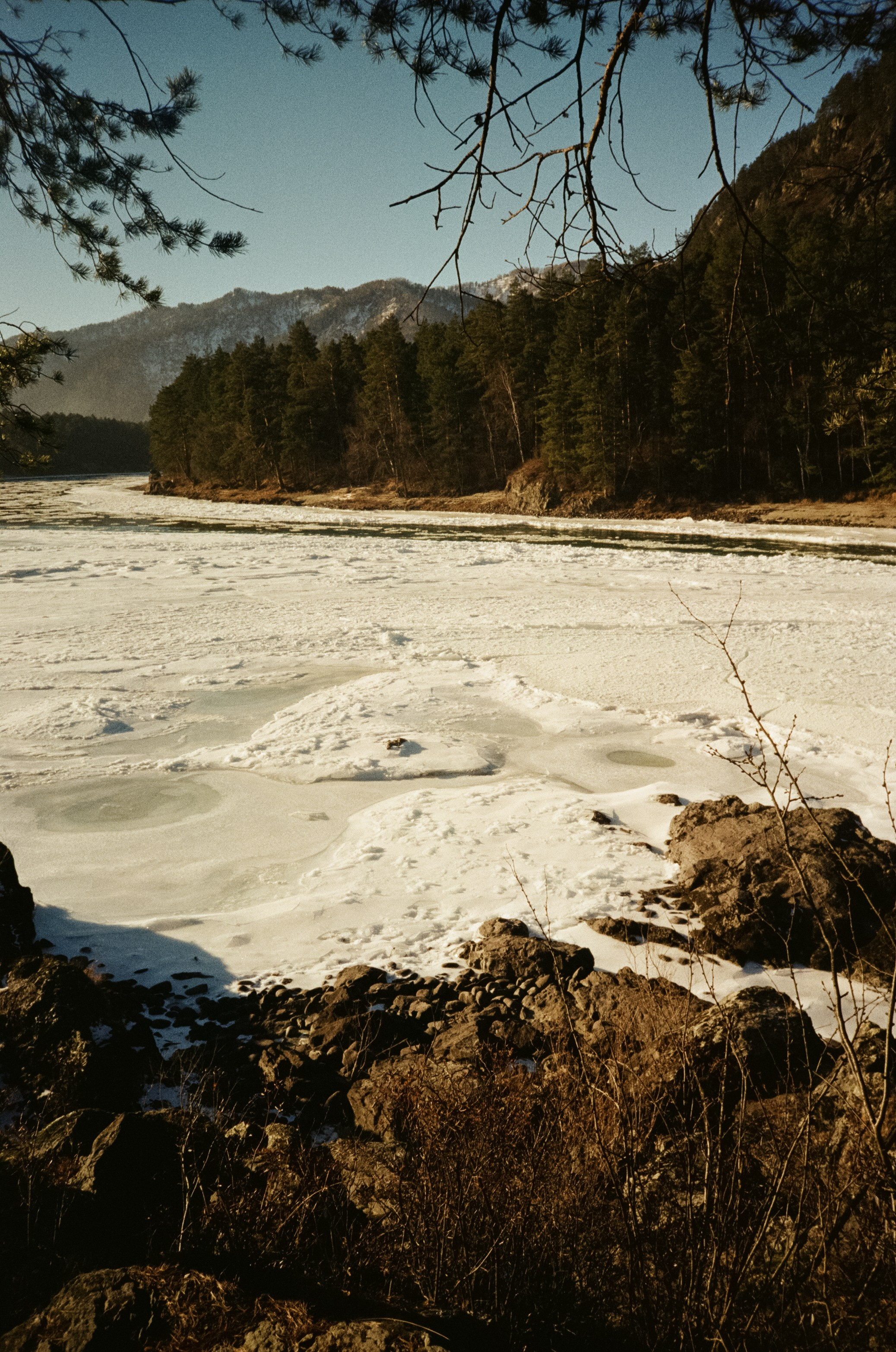 Панорама Катуни, торосы и виды с качелей на горе. Фотограф-документалист Мария Осокина