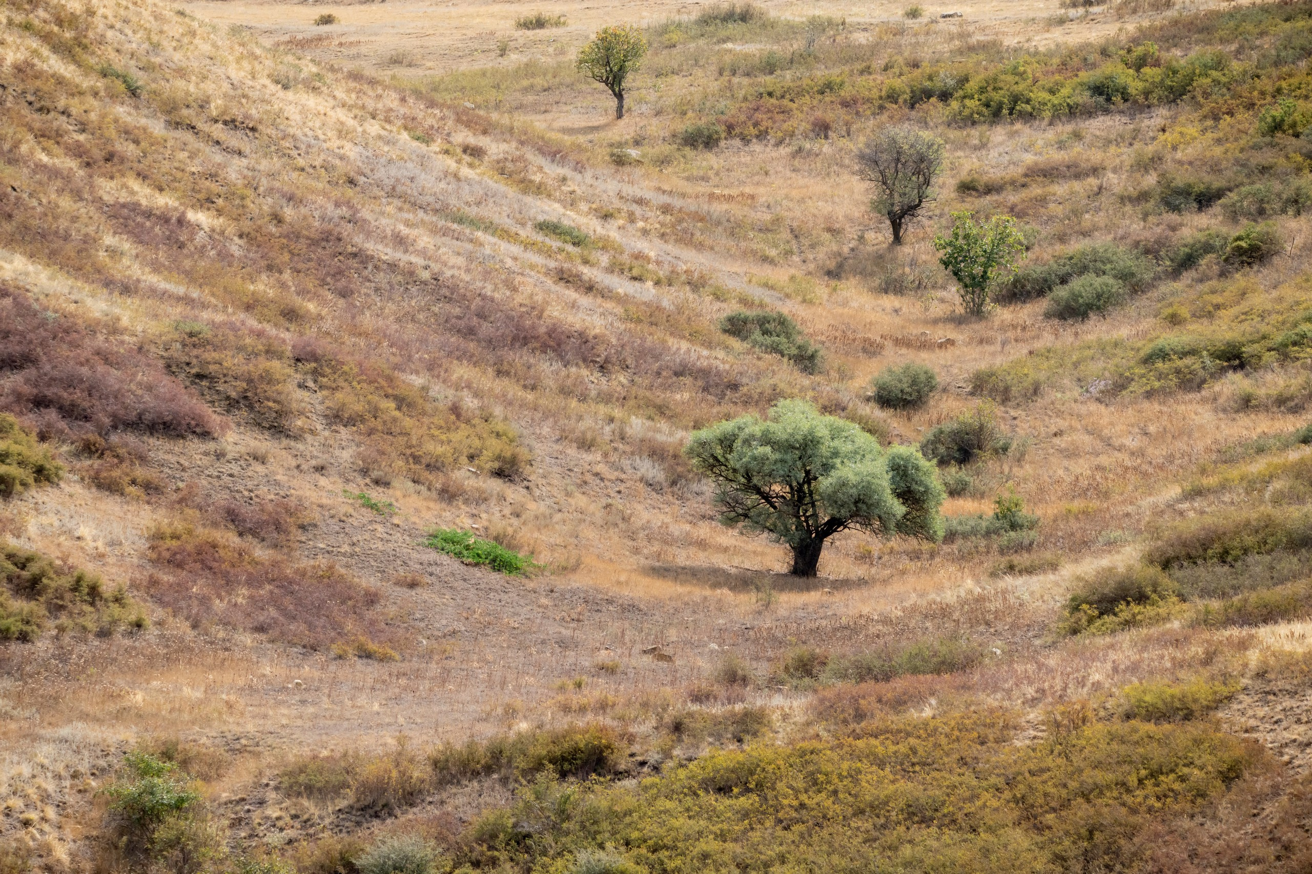 Природа Дагестана, сентябрь 2024. Foto-Zuev фотография как искусство