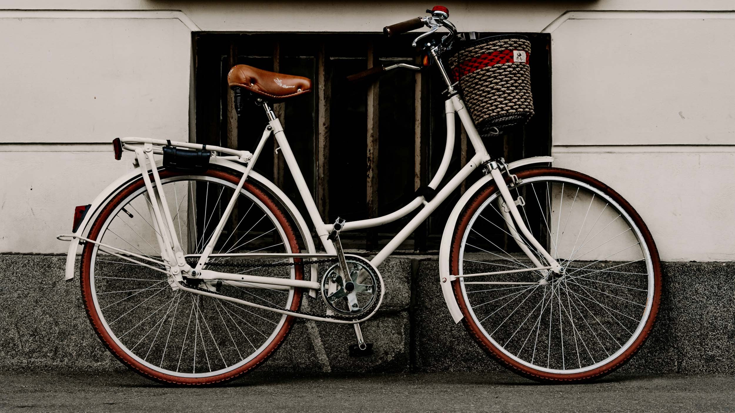 Saint Petersburg. The Andris