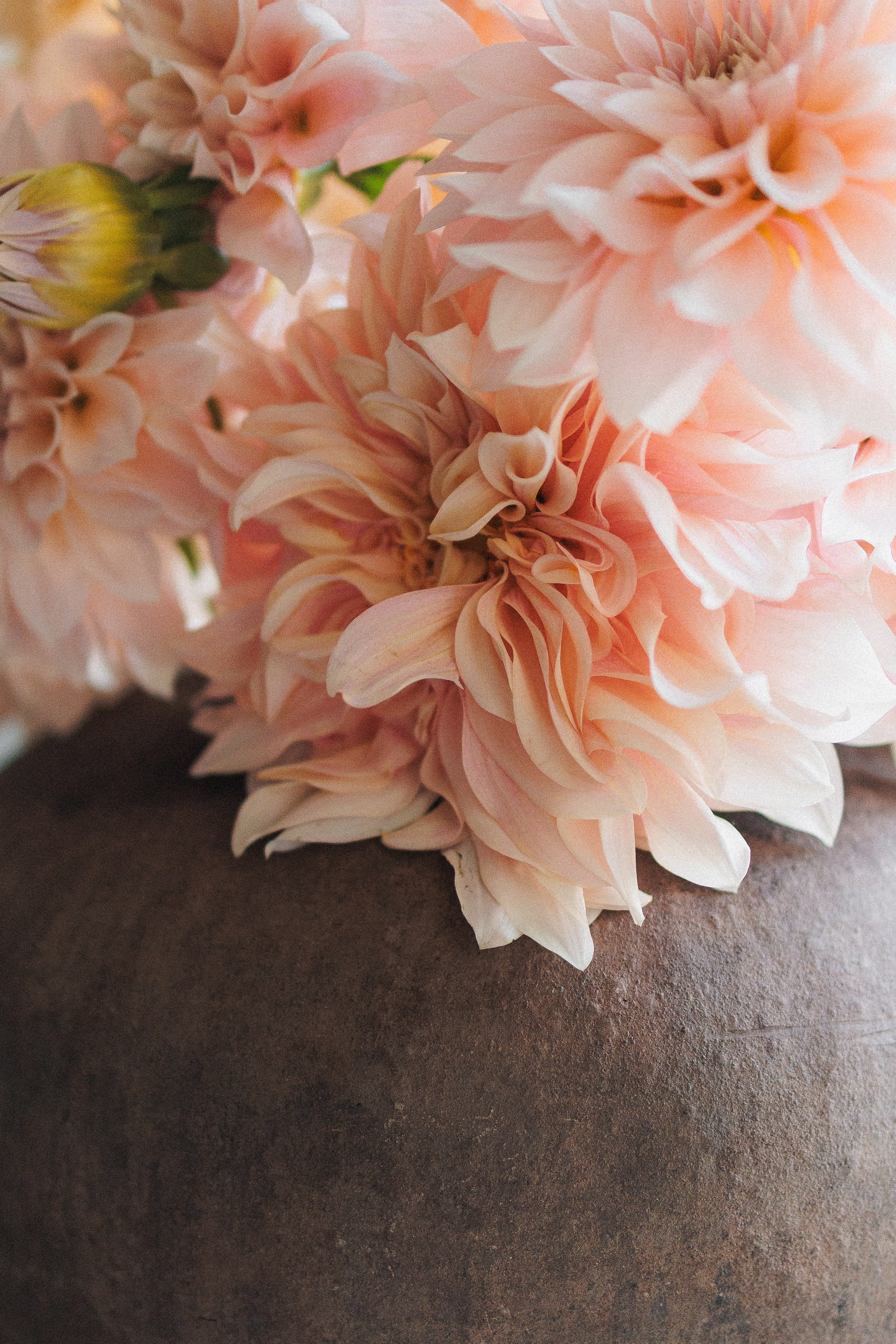 Симонов Монастырь. Фотограф в Москве Виктория Губина