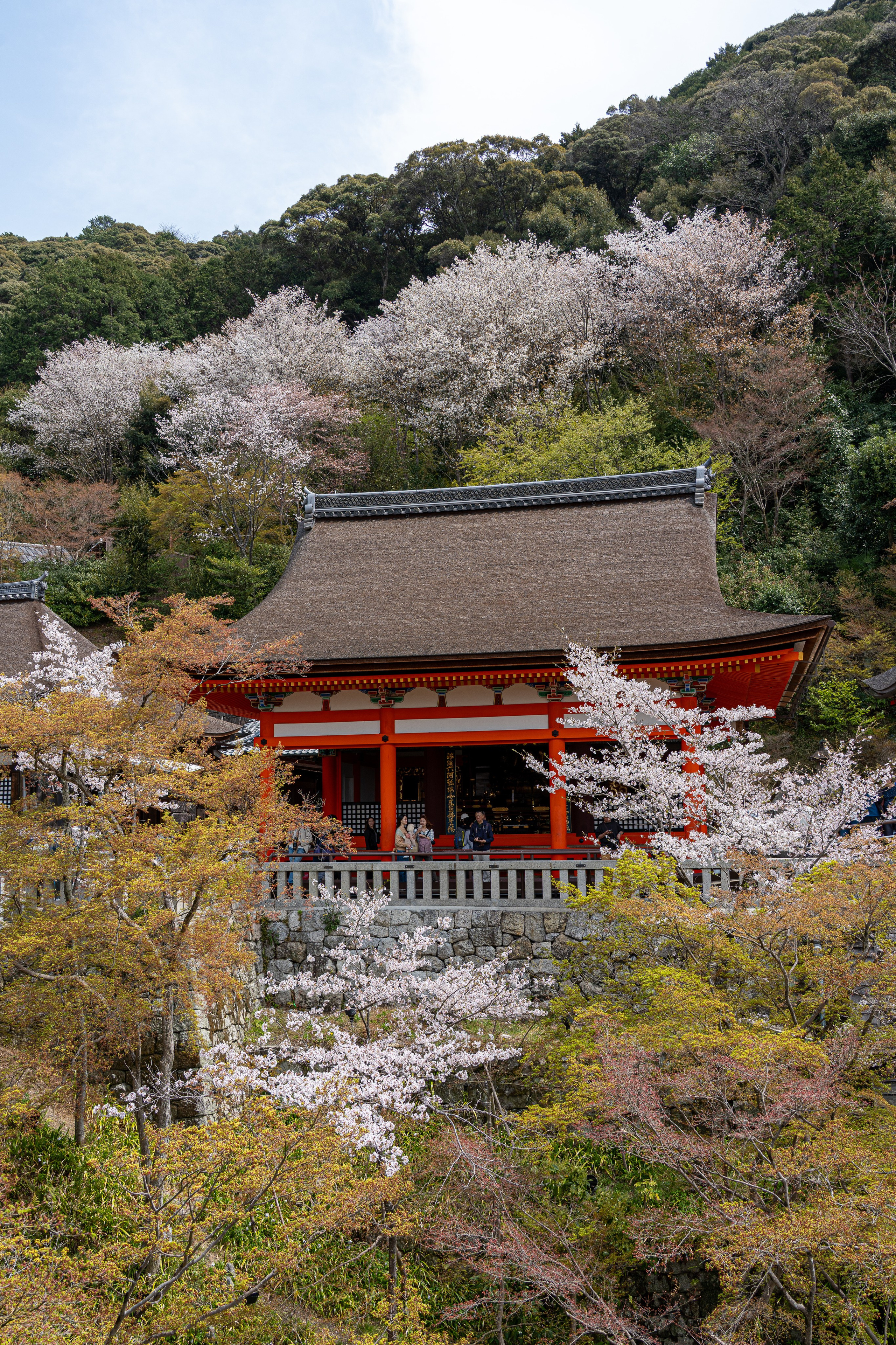 Япония, сакура. Творческие сьемки