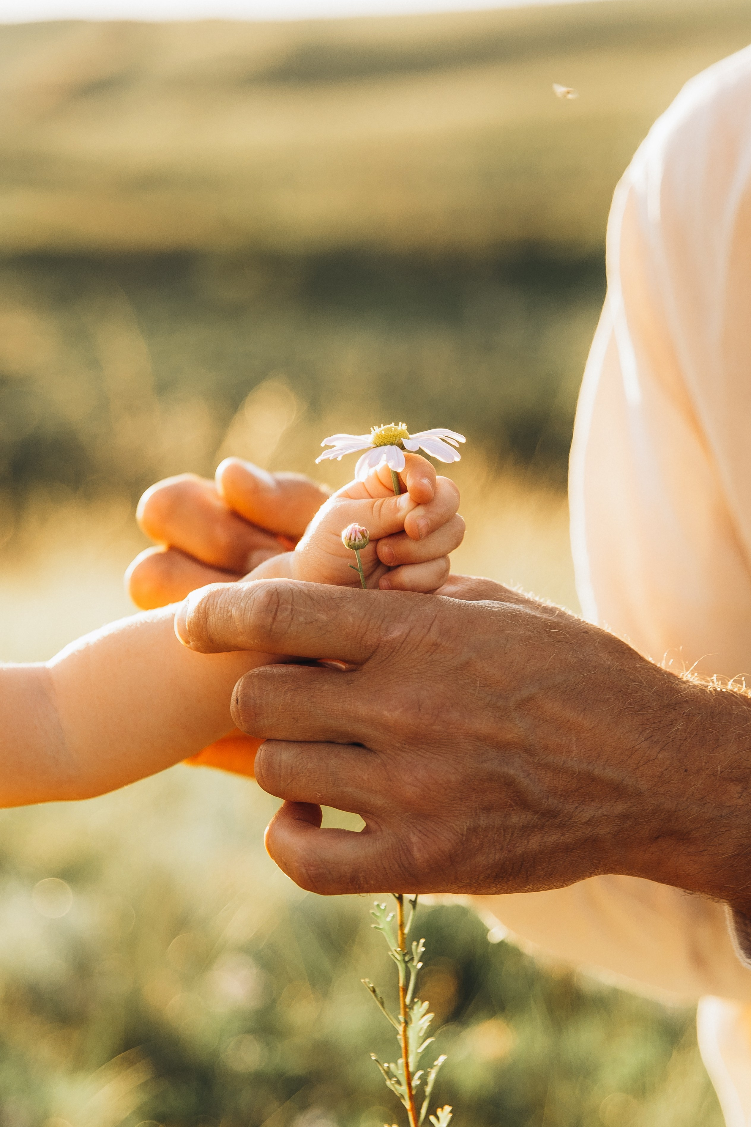 Встретили закат. Свадебный и семейный фотограф в Красноярске Сиско Ксения