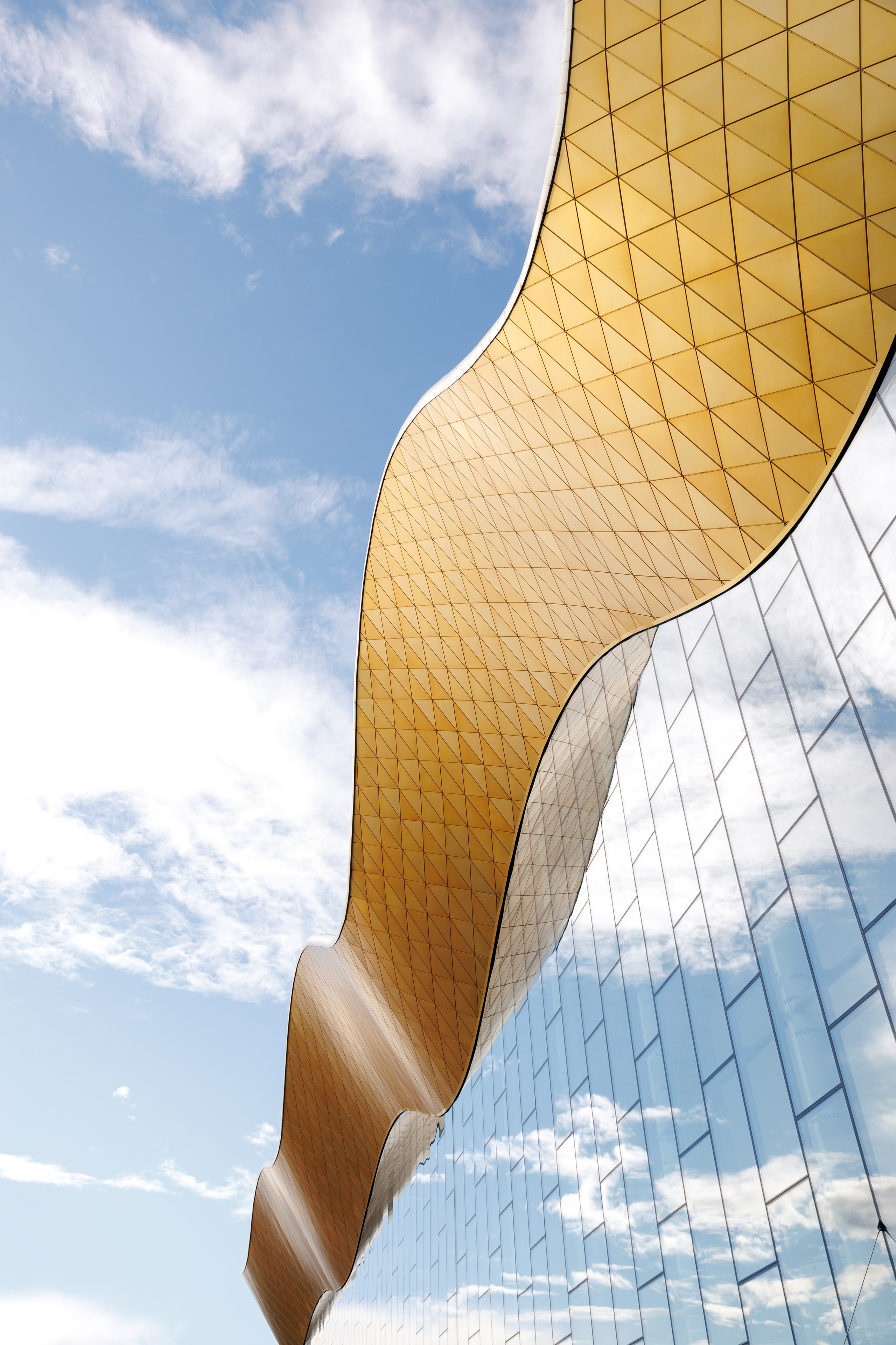 Репортажная съемка на международном проекте БРИКС в Москве. Фотограф Валерия Горбунова Подольск Бутово Видное Щербинка