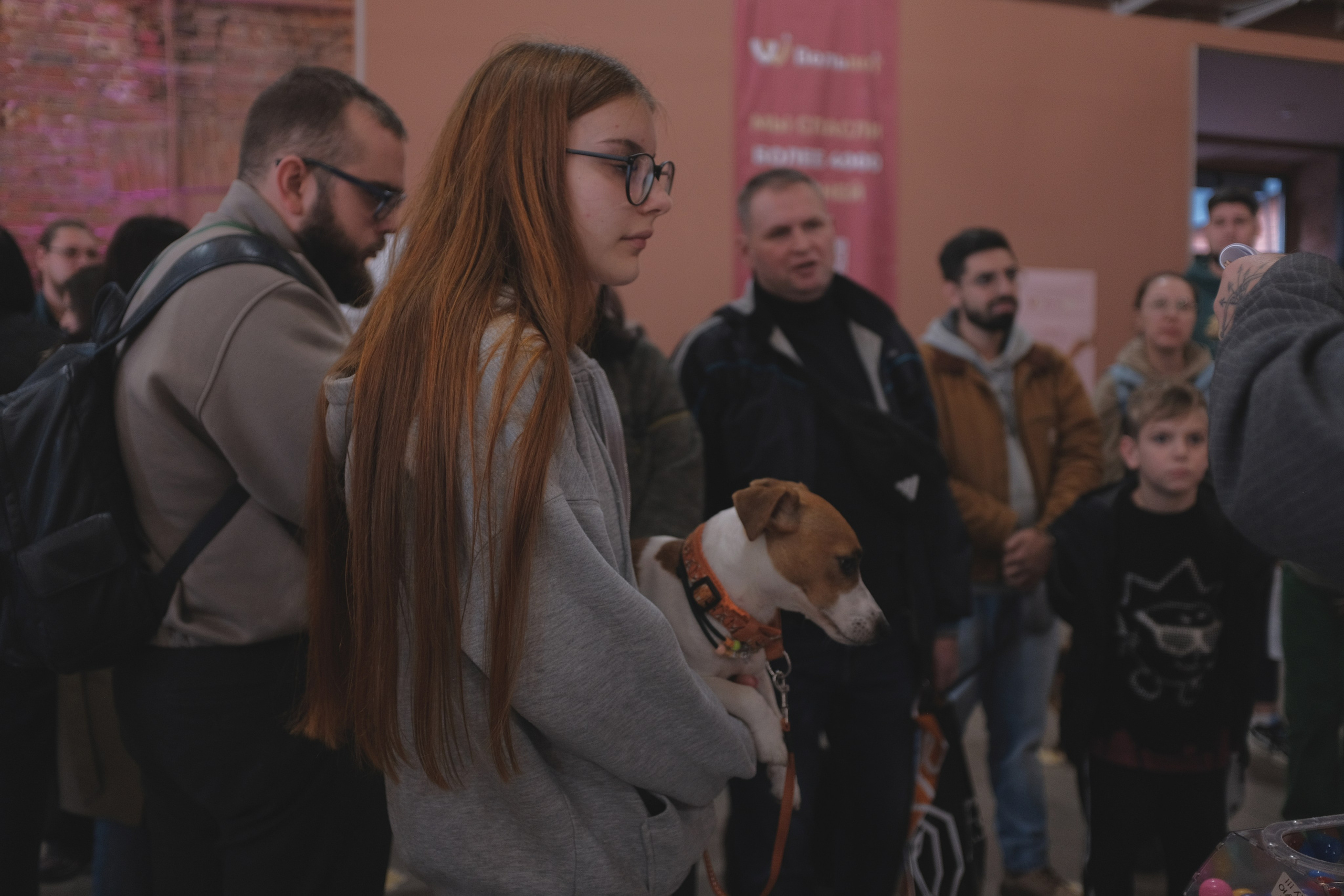 День питомца-донора «Вельвет». Репортажный фотограф в Санкт-Петербурге Даниил Могута