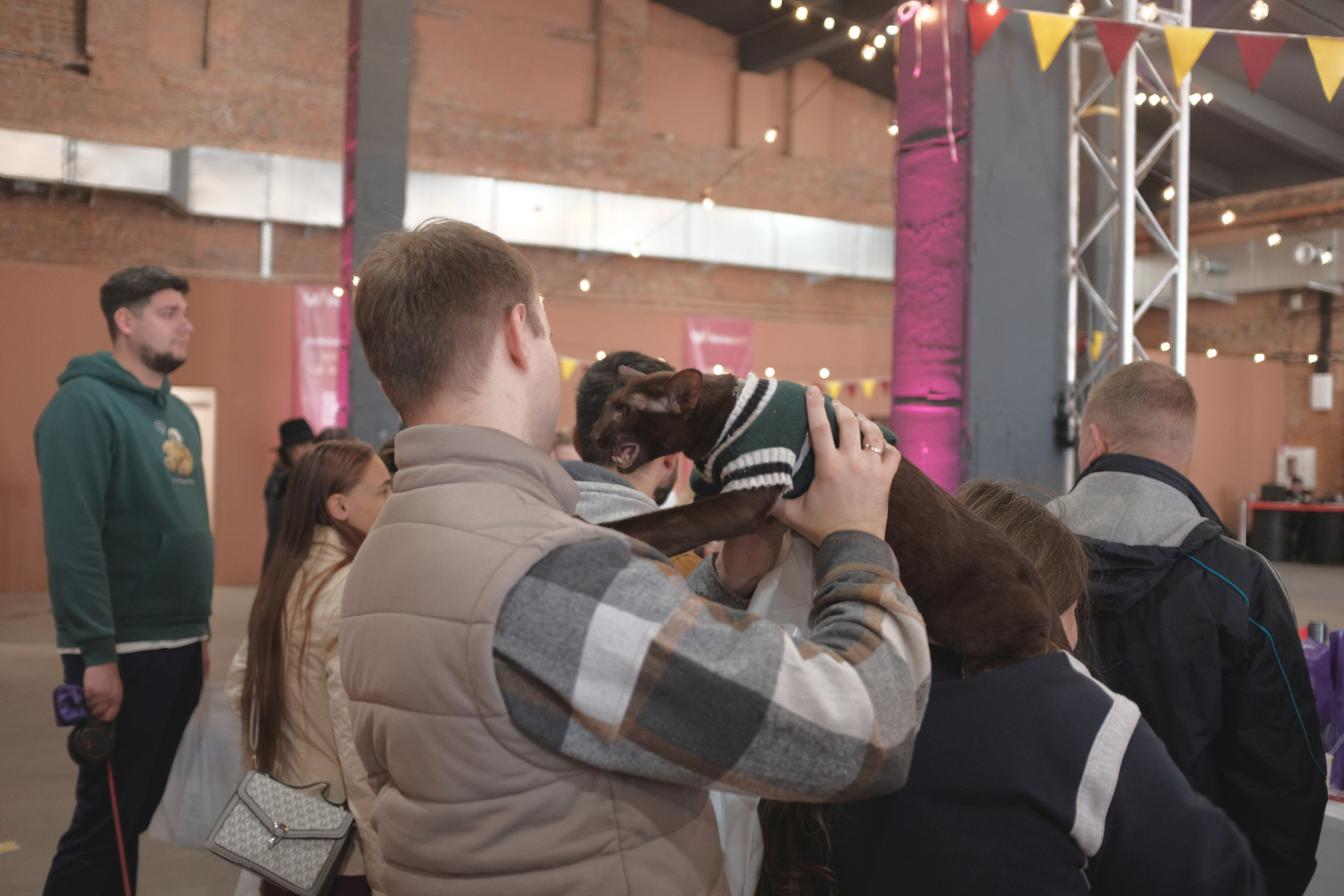 День питомца-донора «Вельвет». Репортажный фотограф в Санкт-Петербурге Даниил Могута
