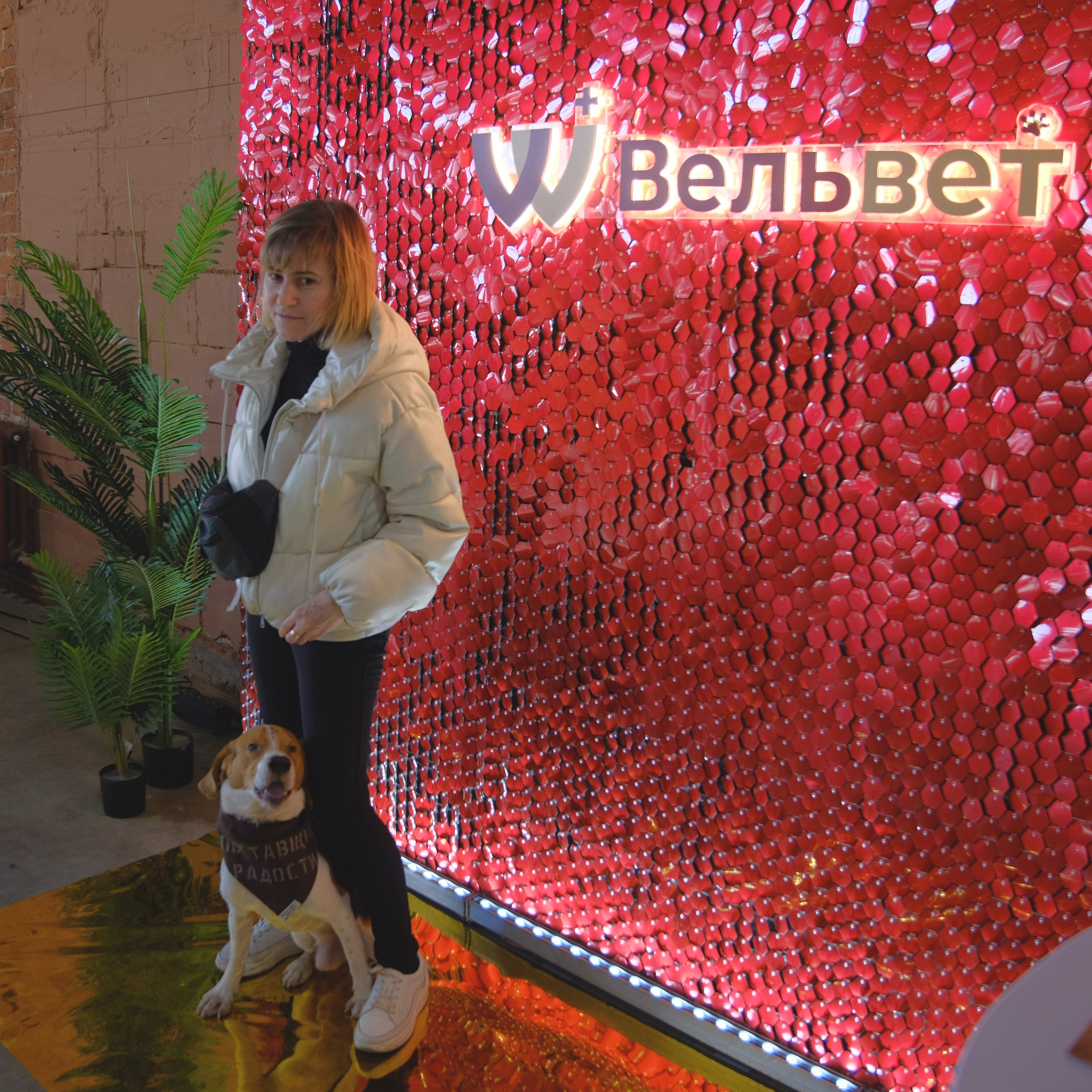 День питомца-донора «Вельвет». Репортажный фотограф в Санкт-Петербурге Даниил Могута