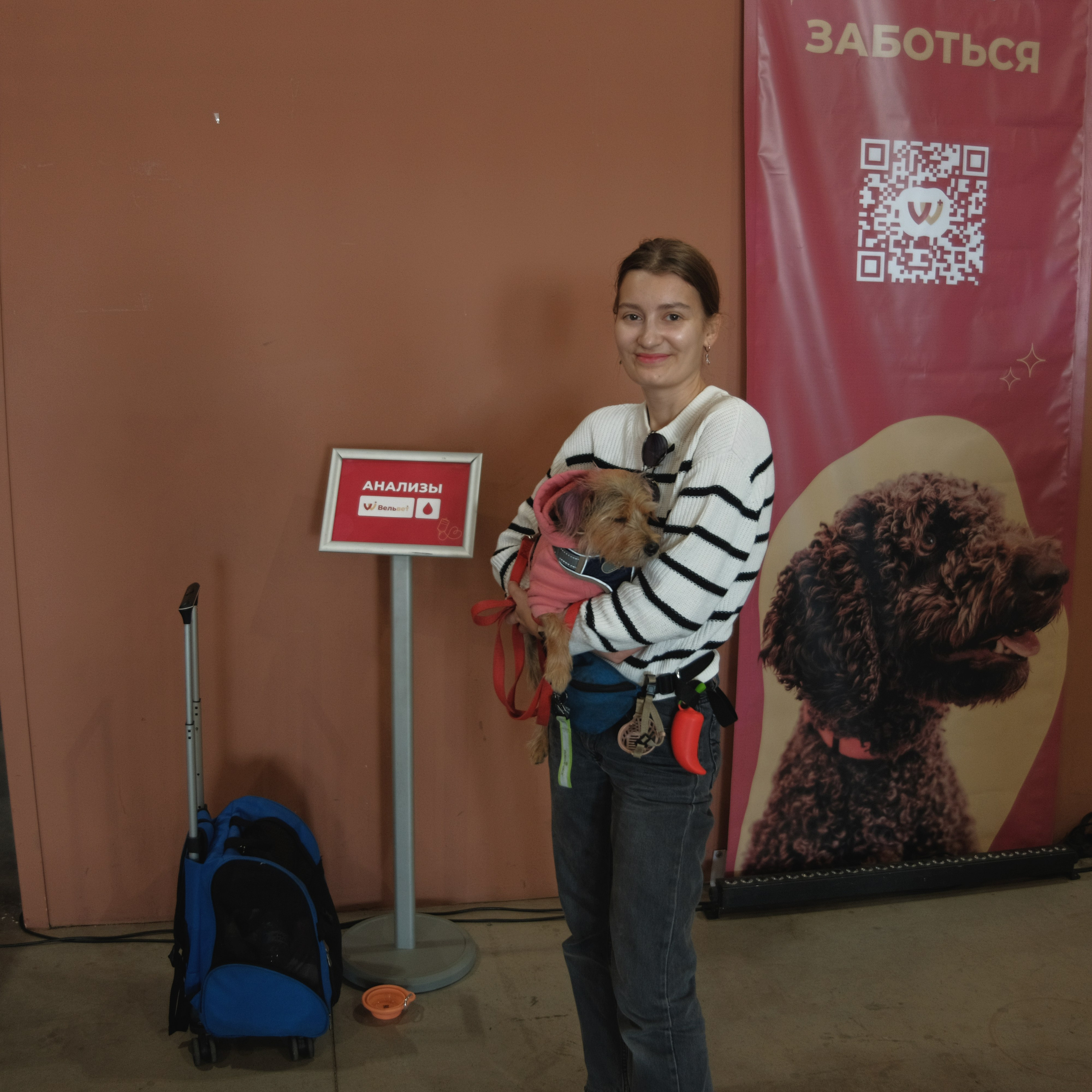 День питомца-донора «Вельвет». Репортажный фотограф в Санкт-Петербурге Даниил Могута