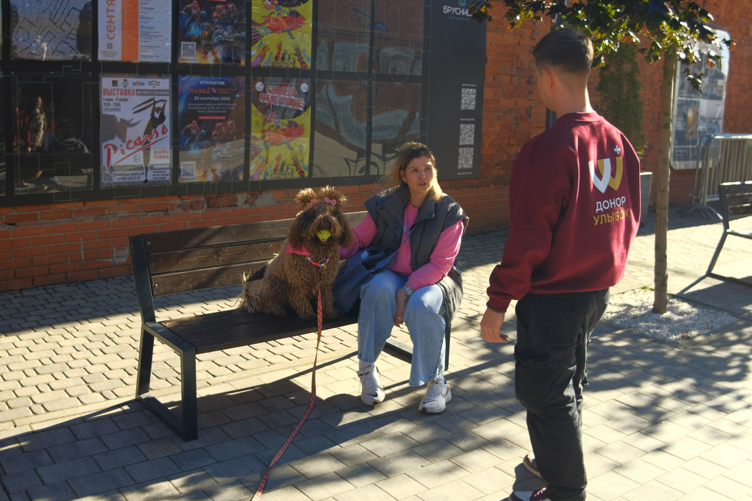 День питомца-донора «Вельвет». Репортажный фотограф в Санкт-Петербурге Даниил Могута