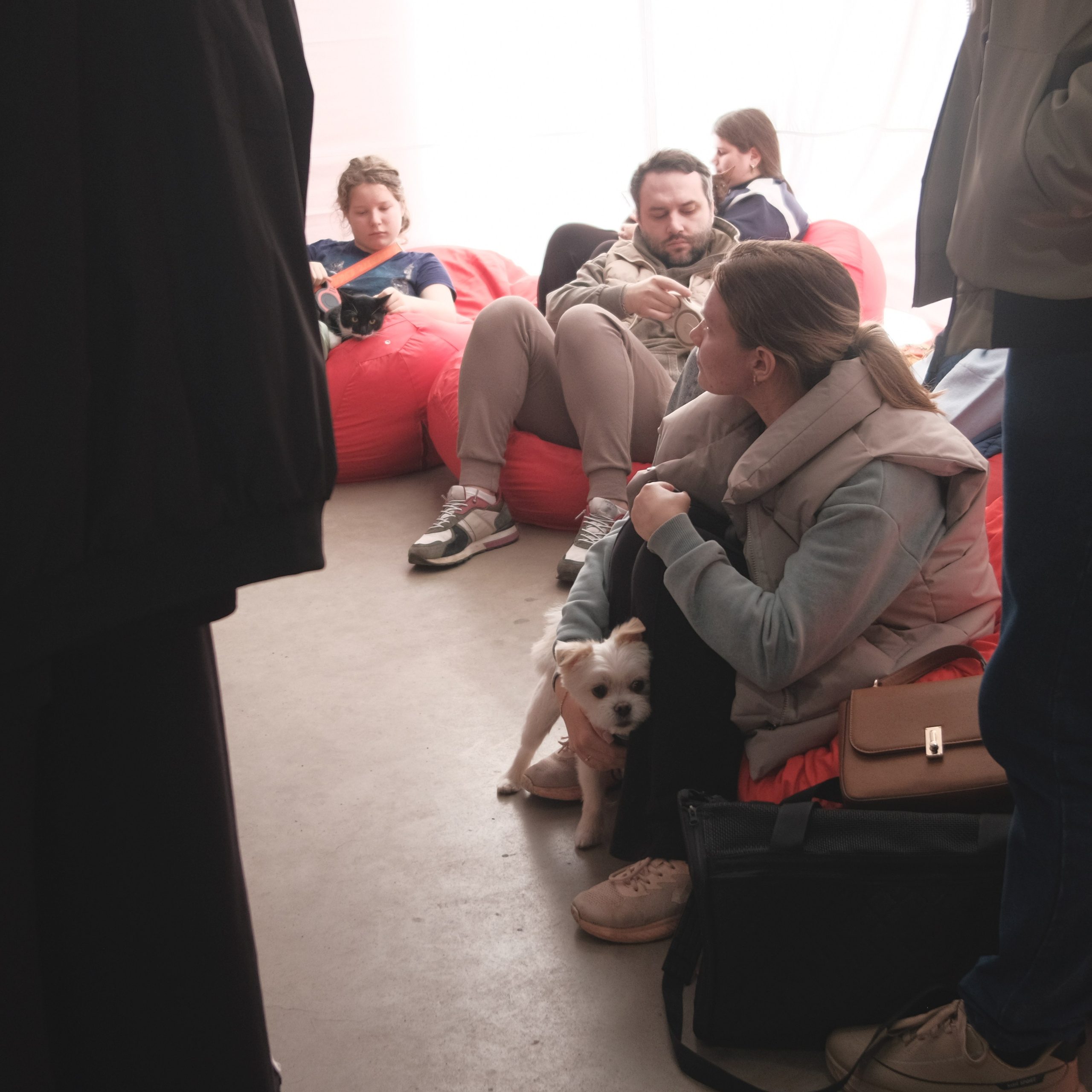 День питомца-донора «Вельвет». Репортажный фотограф в Санкт-Петербурге Даниил Могута
