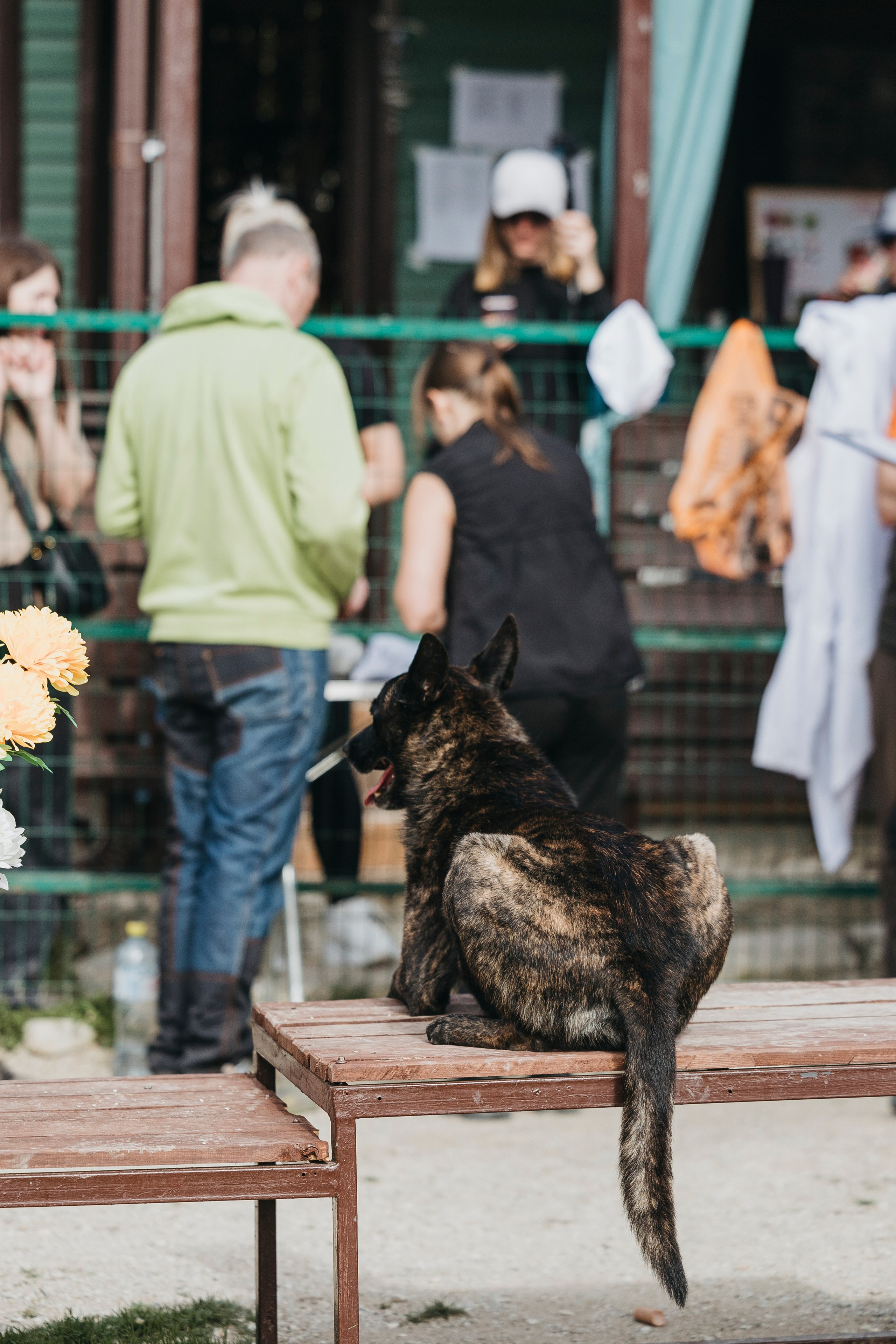 Геленджик Мондьоринг. Фотограф-анималист Анна Маринич