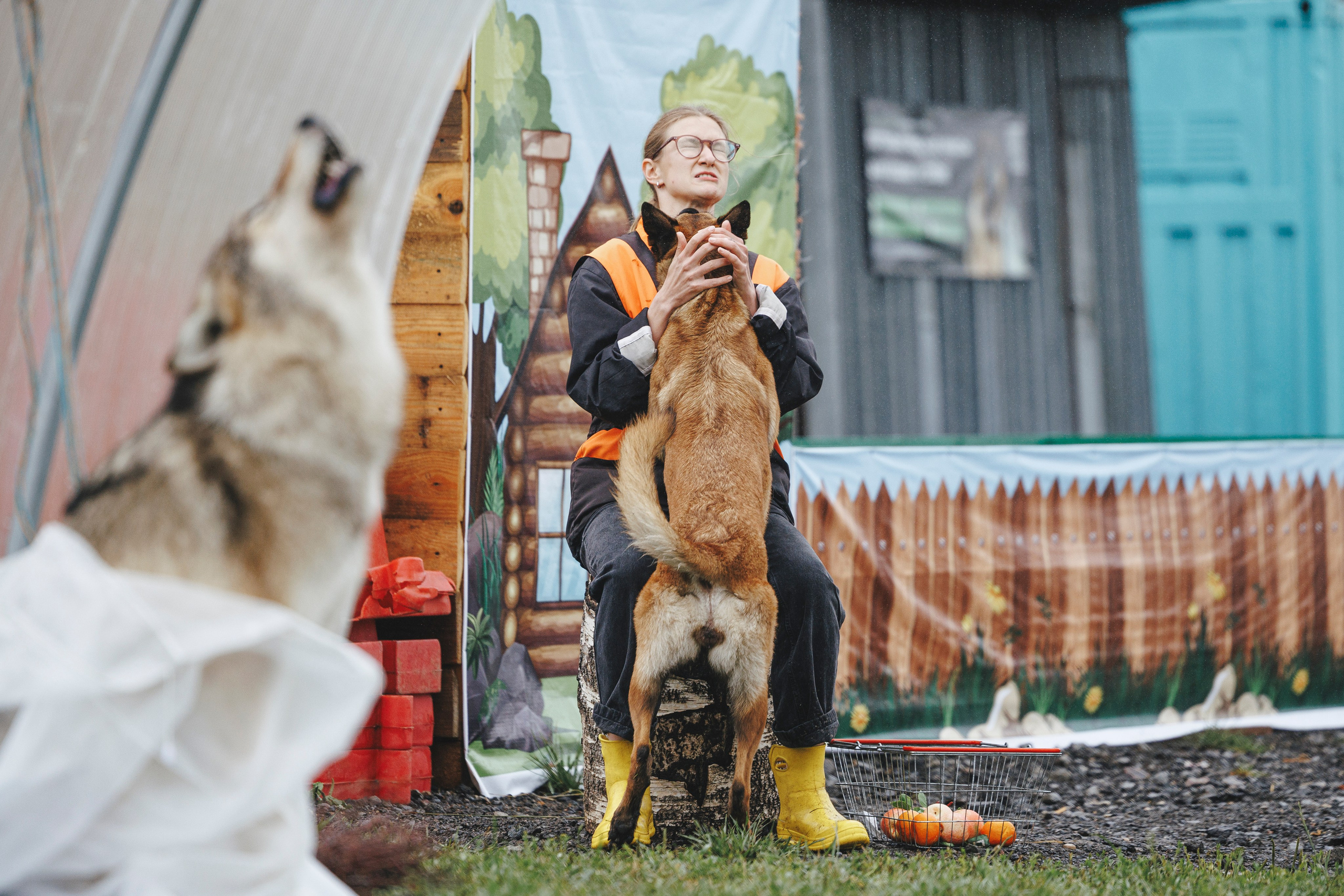 08.08.25-10.08.25 ЧР по мондьорингу г. Вологда. Фотограф-анималист Анна Маринич