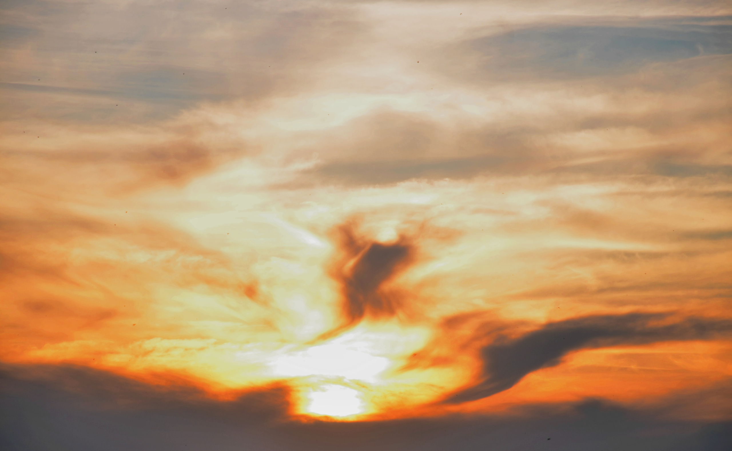 Дары природы. Фотограф viktor viktor