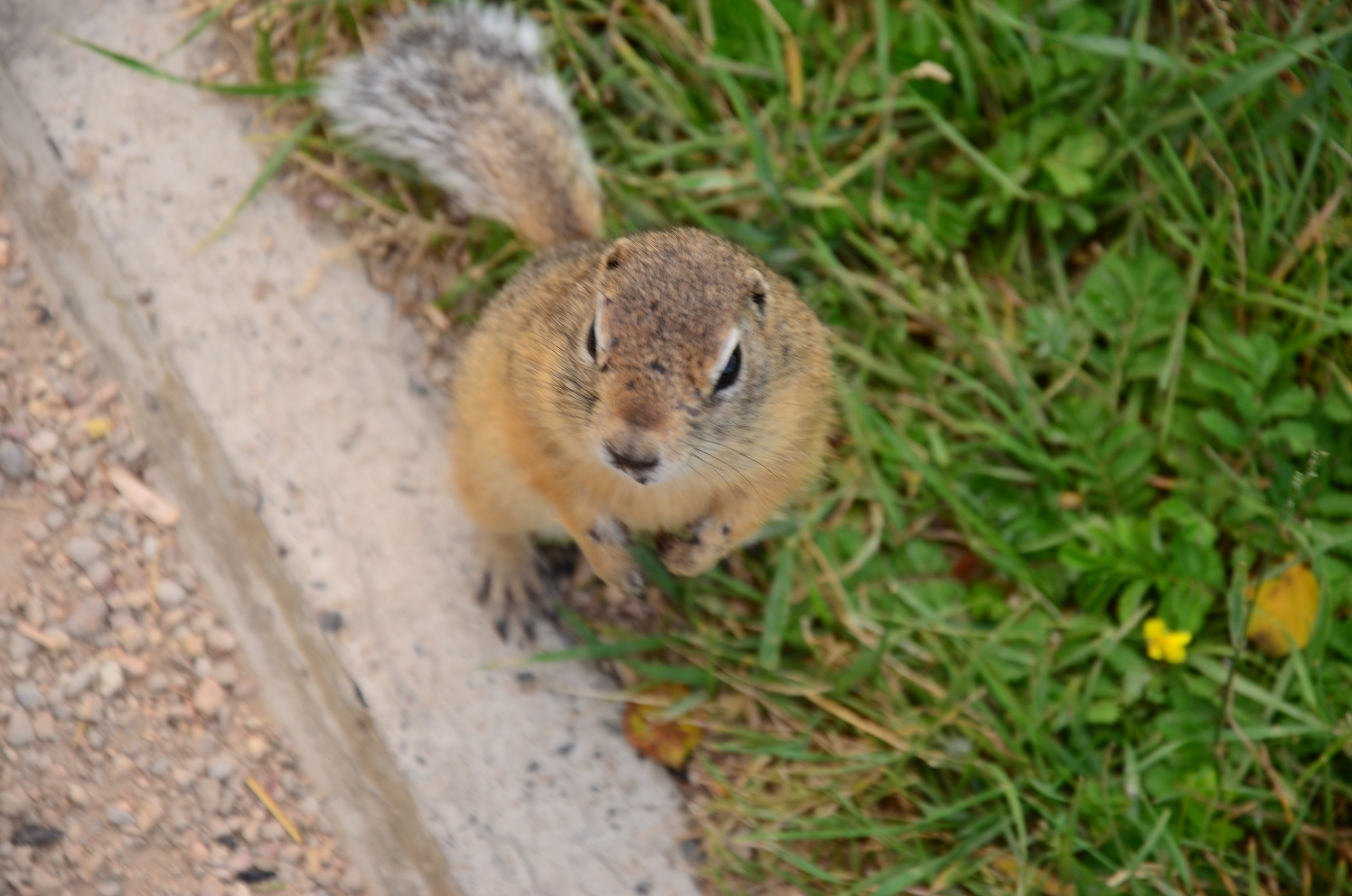 Дары природы. Фотограф viktor viktor