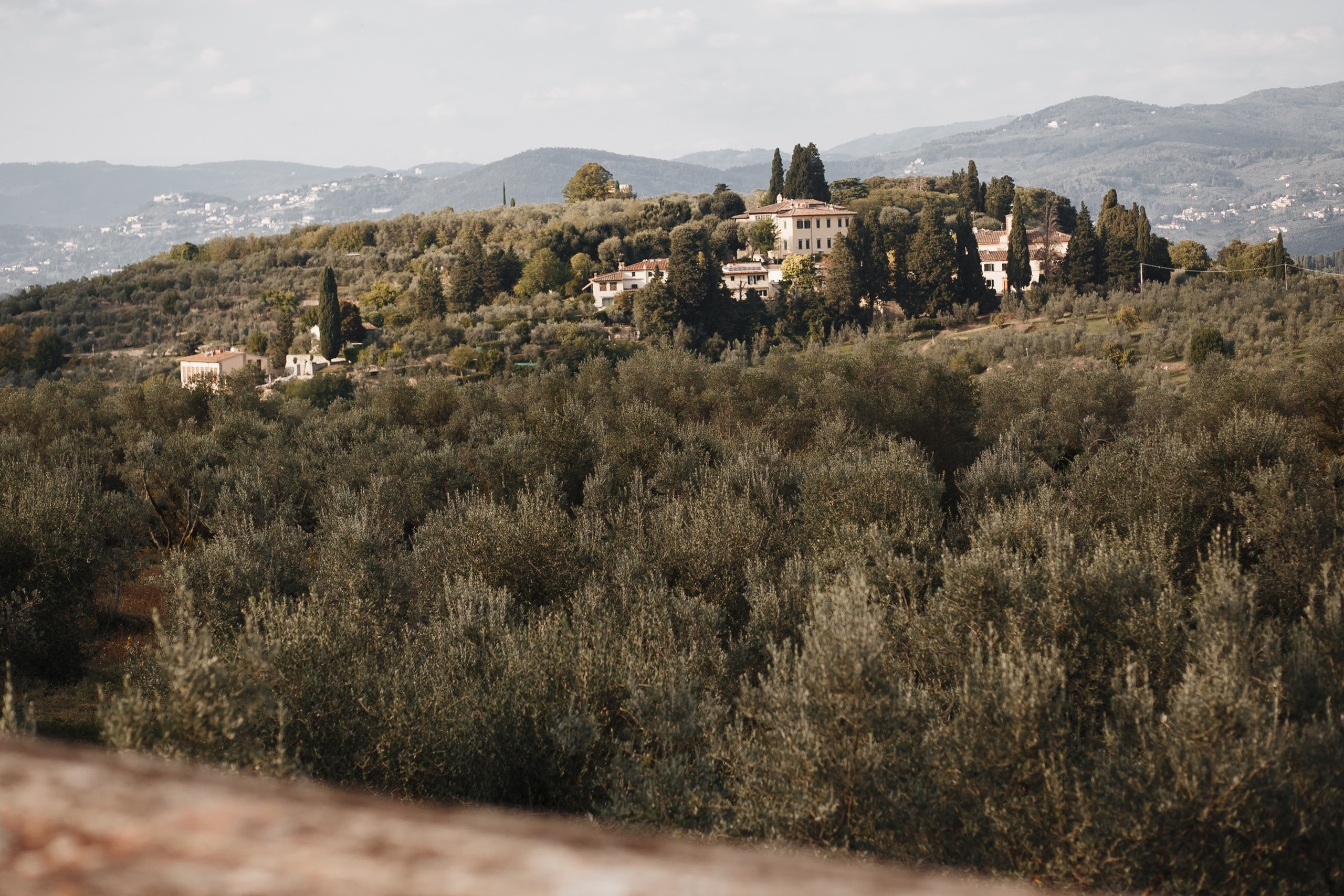 Оля и Иван. Свадебный фотограф Павел Щекин