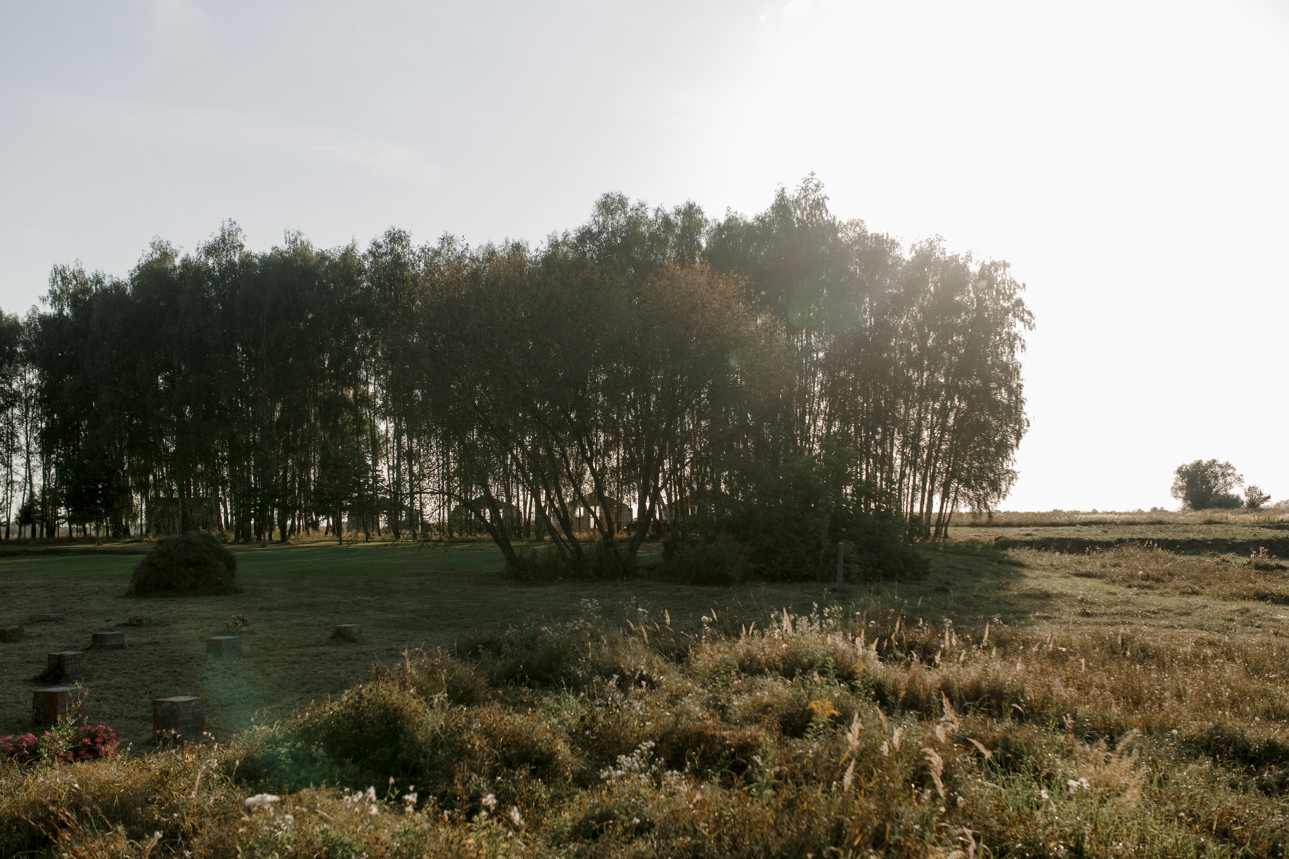 Луиза и Роберт. Свадебный фотограф Павел Щекин