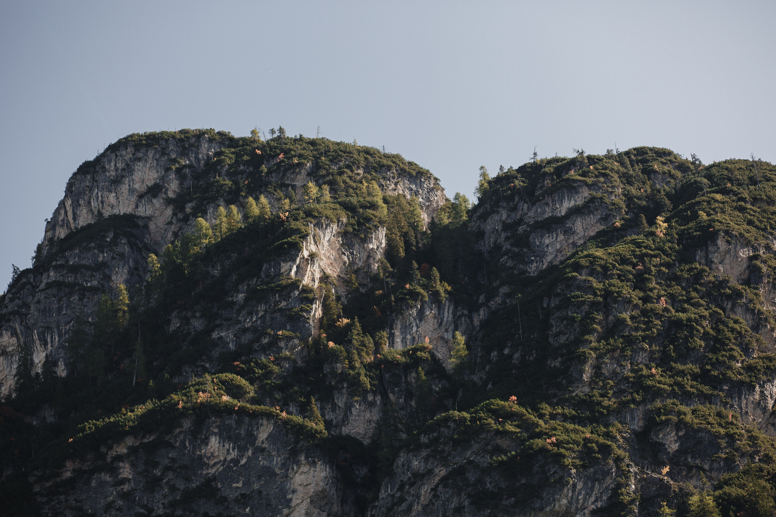 Дарья и Сергей. Свадебный фотограф Павел Щекин