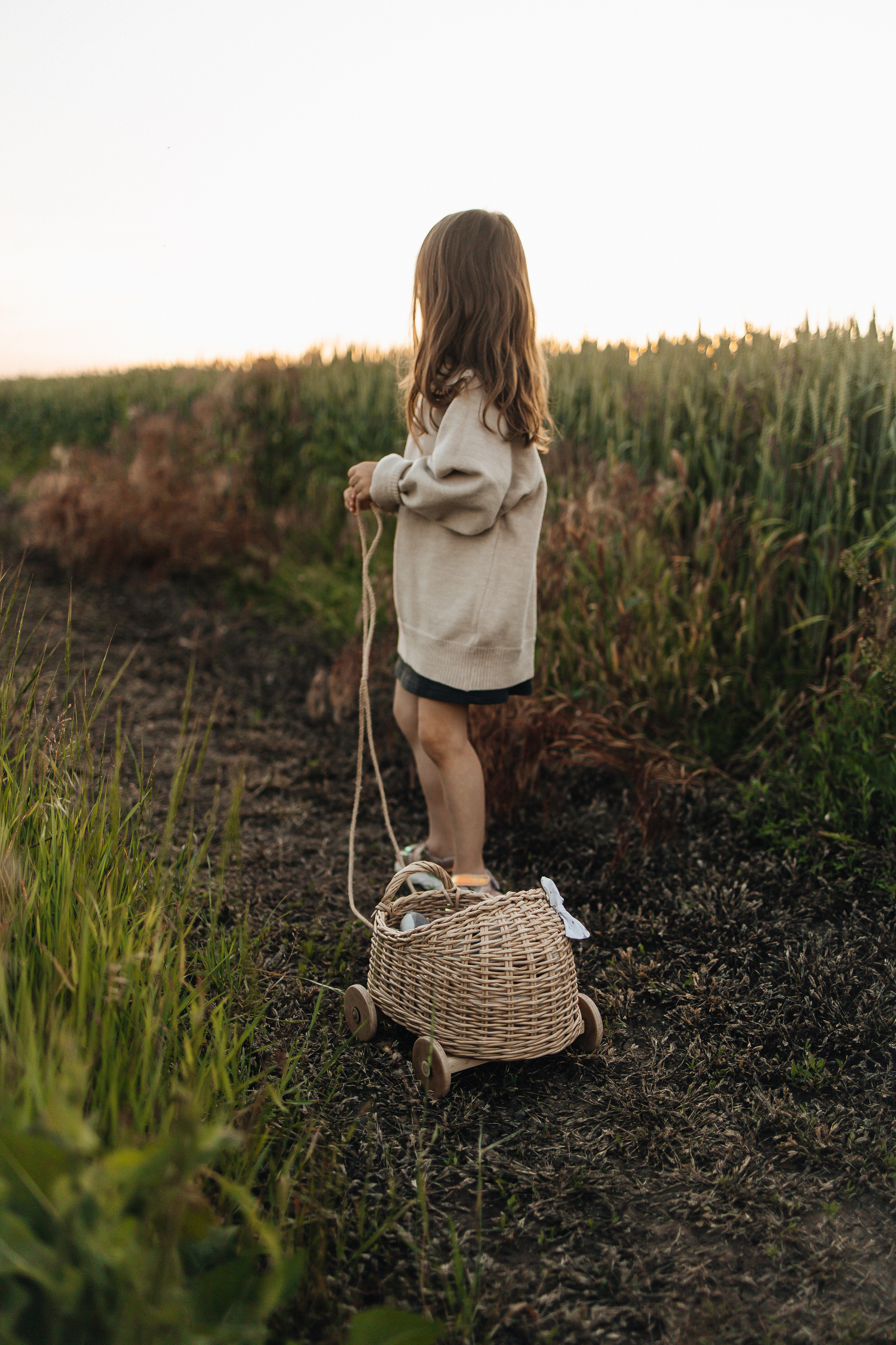 Алёна и Василиса, летний закат в поле. Семейный и детский фотограф, таганрог, ростов-на-дону