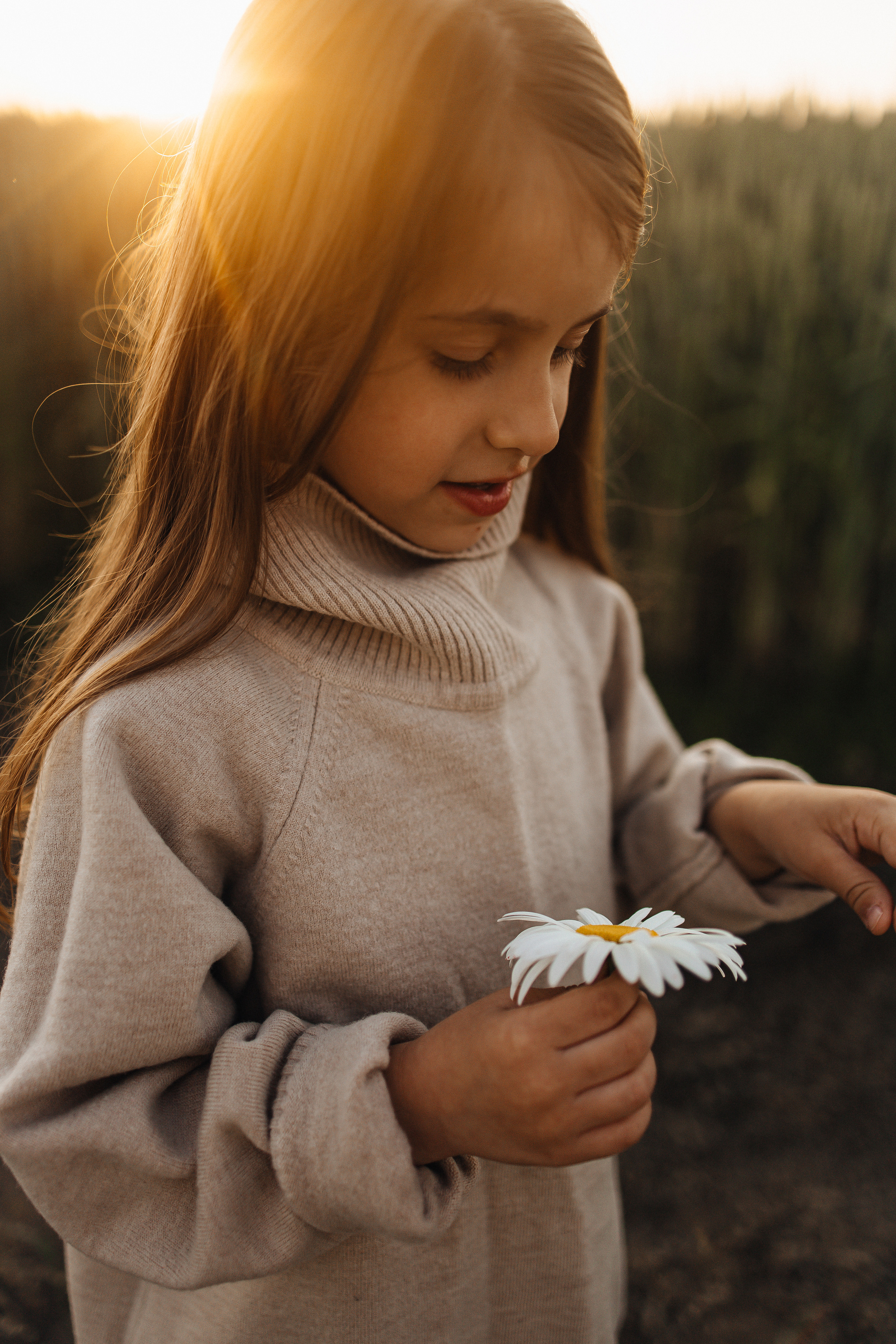Алёна и Василиса, летний закат в поле. Семейный и детский фотограф, таганрог, ростов-на-дону