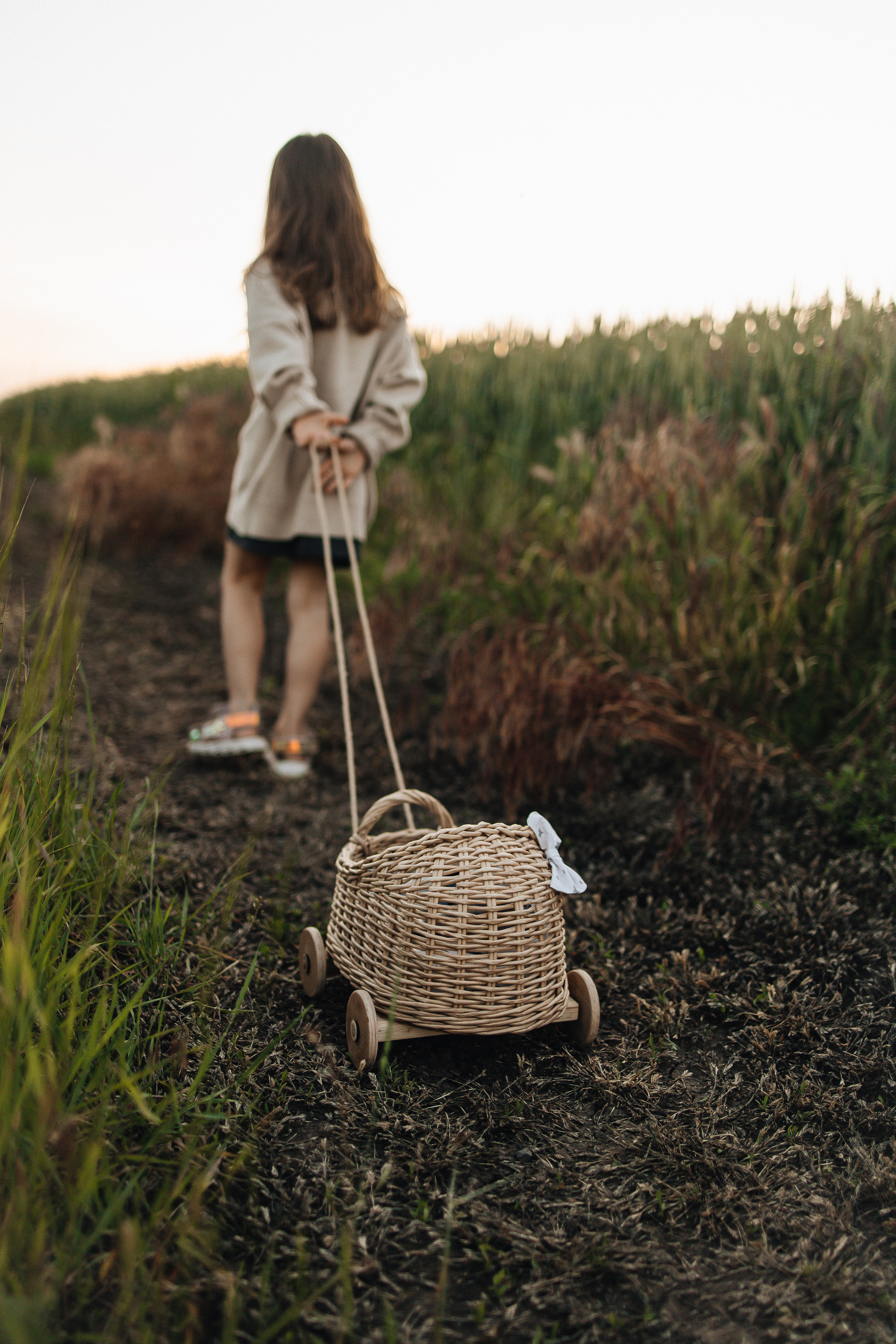 Алёна и Василиса, летний закат в поле. Семейный и детский фотограф, таганрог, ростов-на-дону