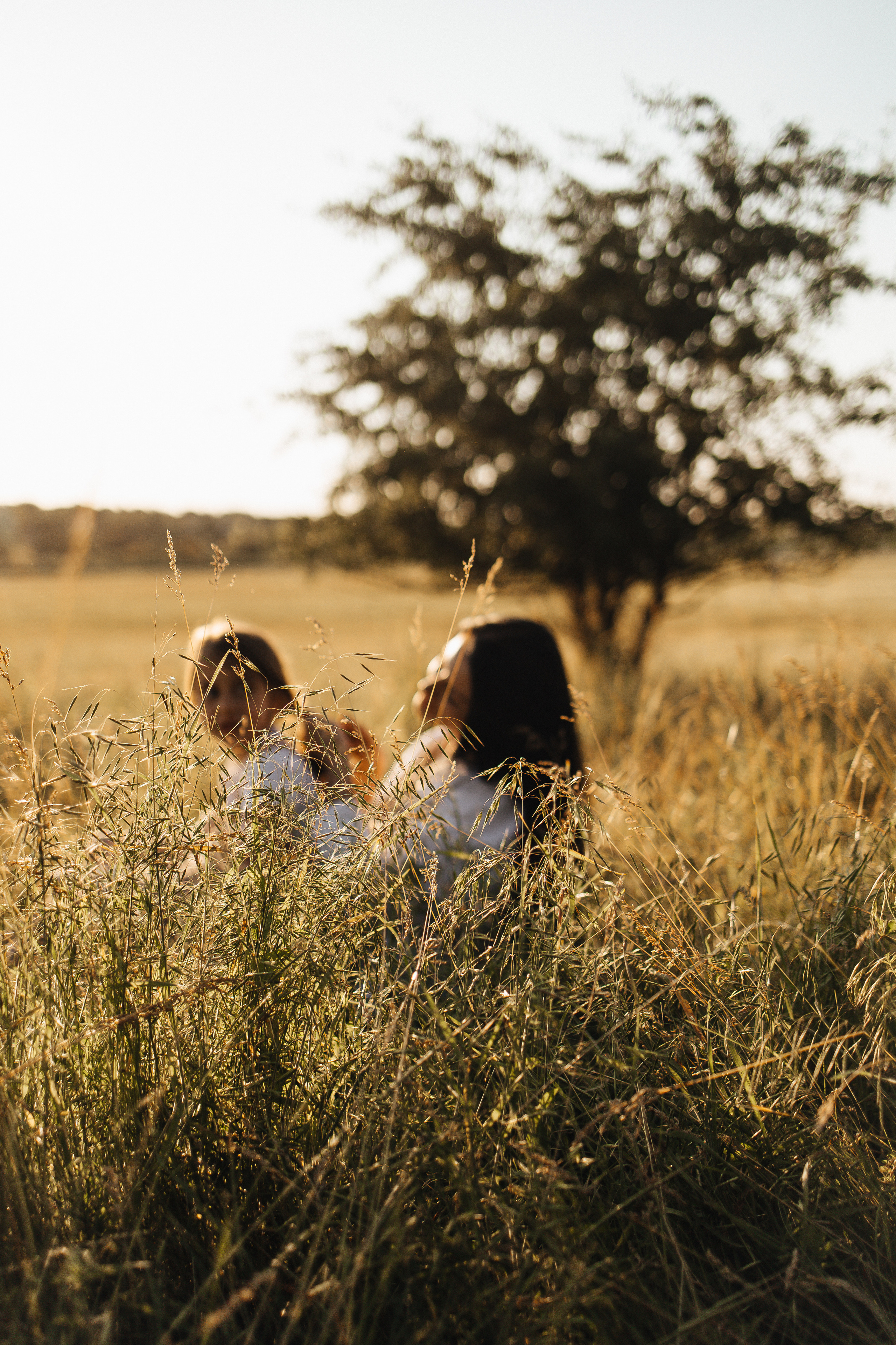 Алёна и Василиса, летний закат в поле. Семейный и детский фотограф, таганрог, ростов-на-дону