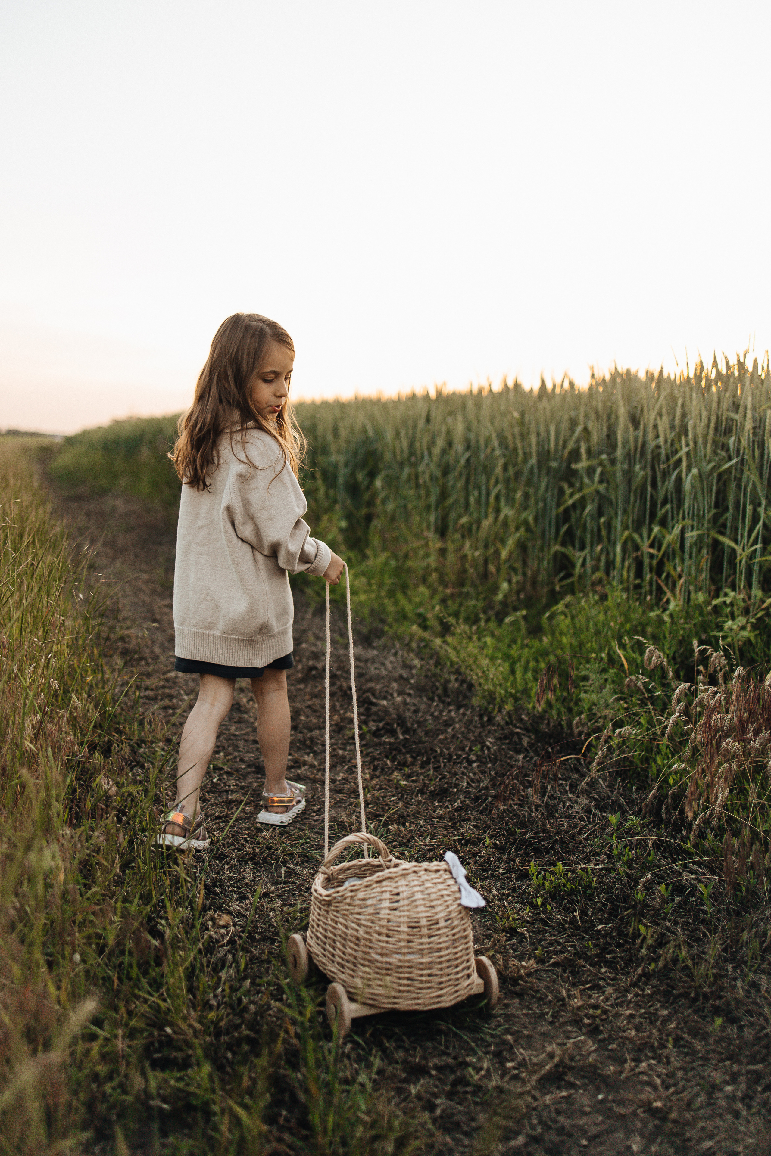 Алёна и Василиса, летний закат в поле. Семейный и детский фотограф, таганрог, ростов-на-дону