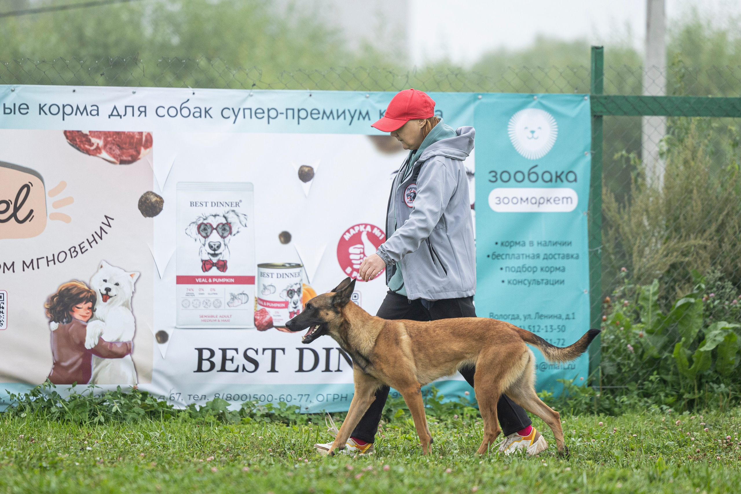 Соревнования по Мондьорингу г. Вологда 10-11.08.2024. Фотограф-анималист Анна Маринич