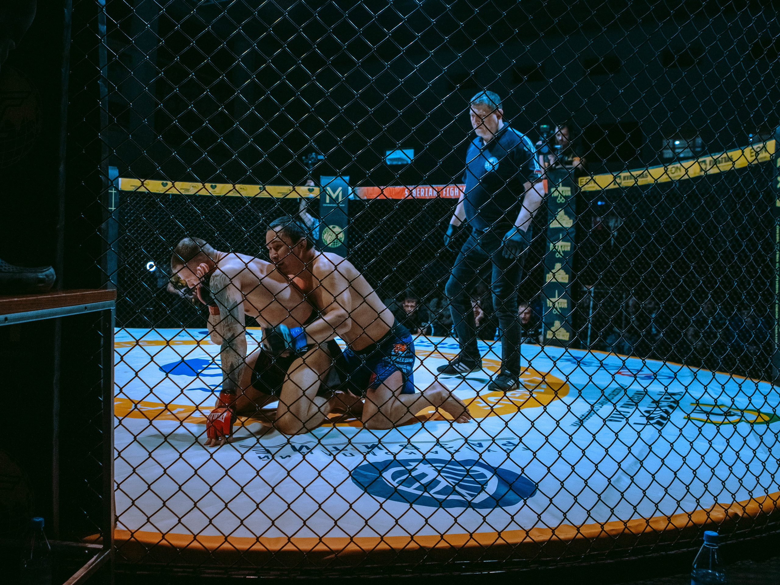 SFL 17 | Siberian Fighting League. Портретный фотограф в Москве Дарья Цезария